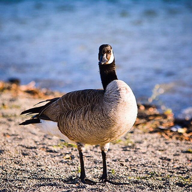 Nikon D7100 sample photo. Standing still! photography