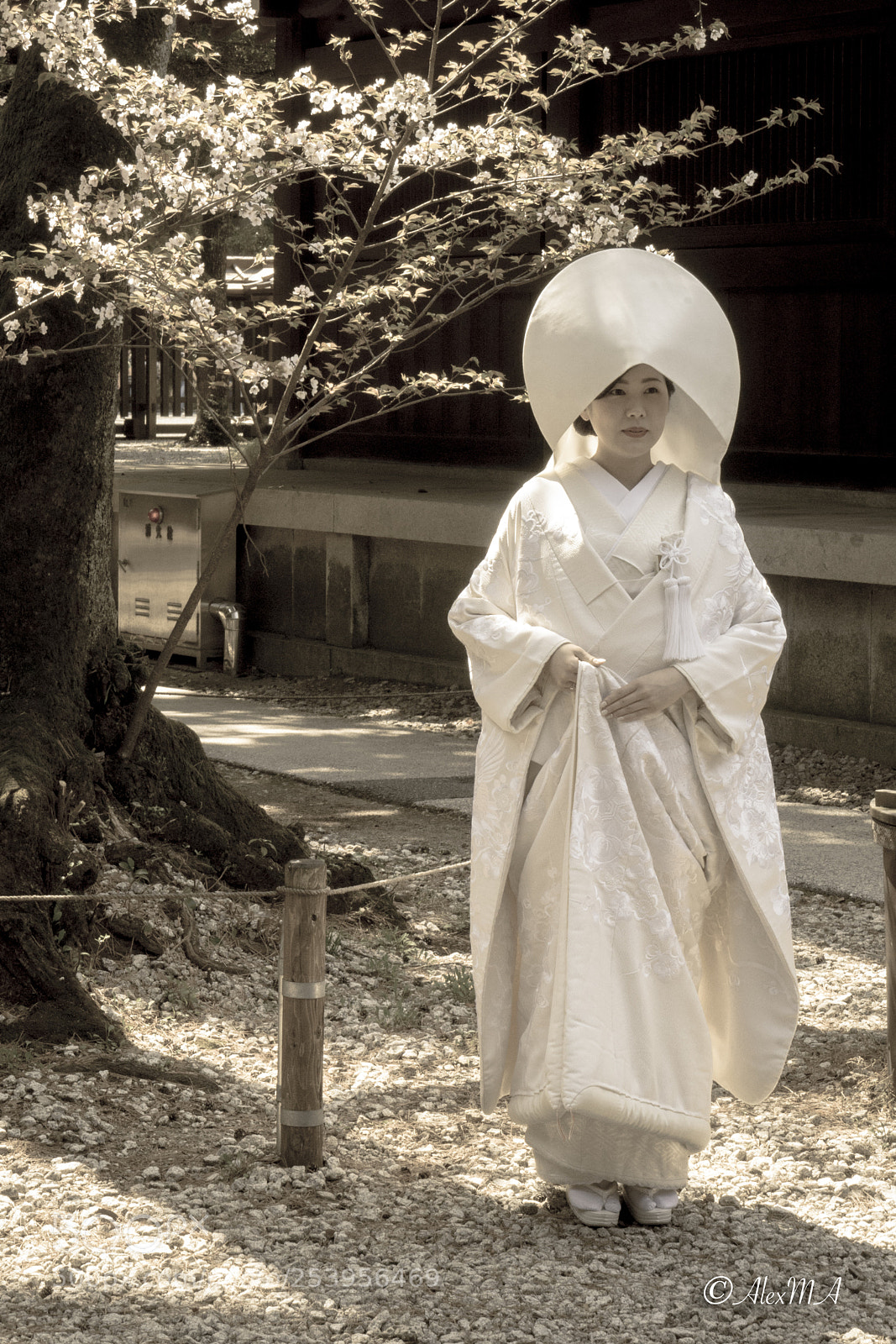 Sony a7 sample photo. New life photography