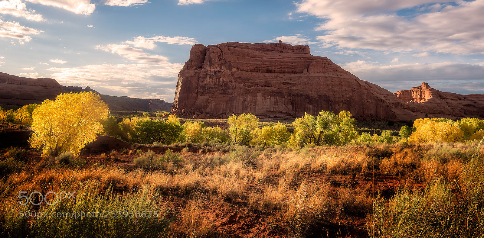 Nikon D810 sample photo. Arches in autumn photography