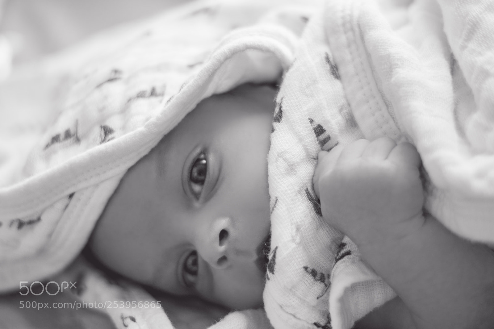 Sony a6300 sample photo. Untitled photography