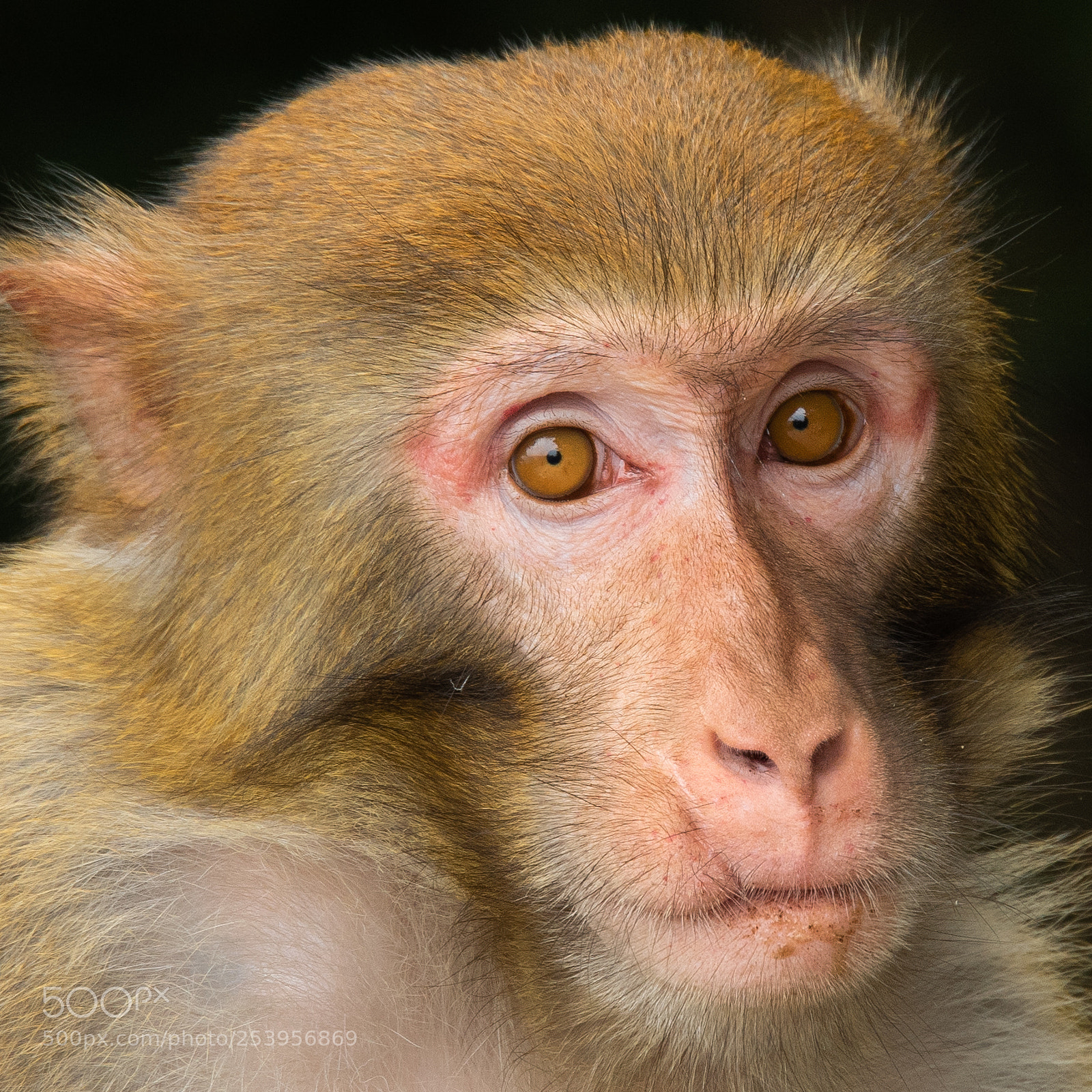 Nikon D810 sample photo. _dsc2927-2.jpg photography