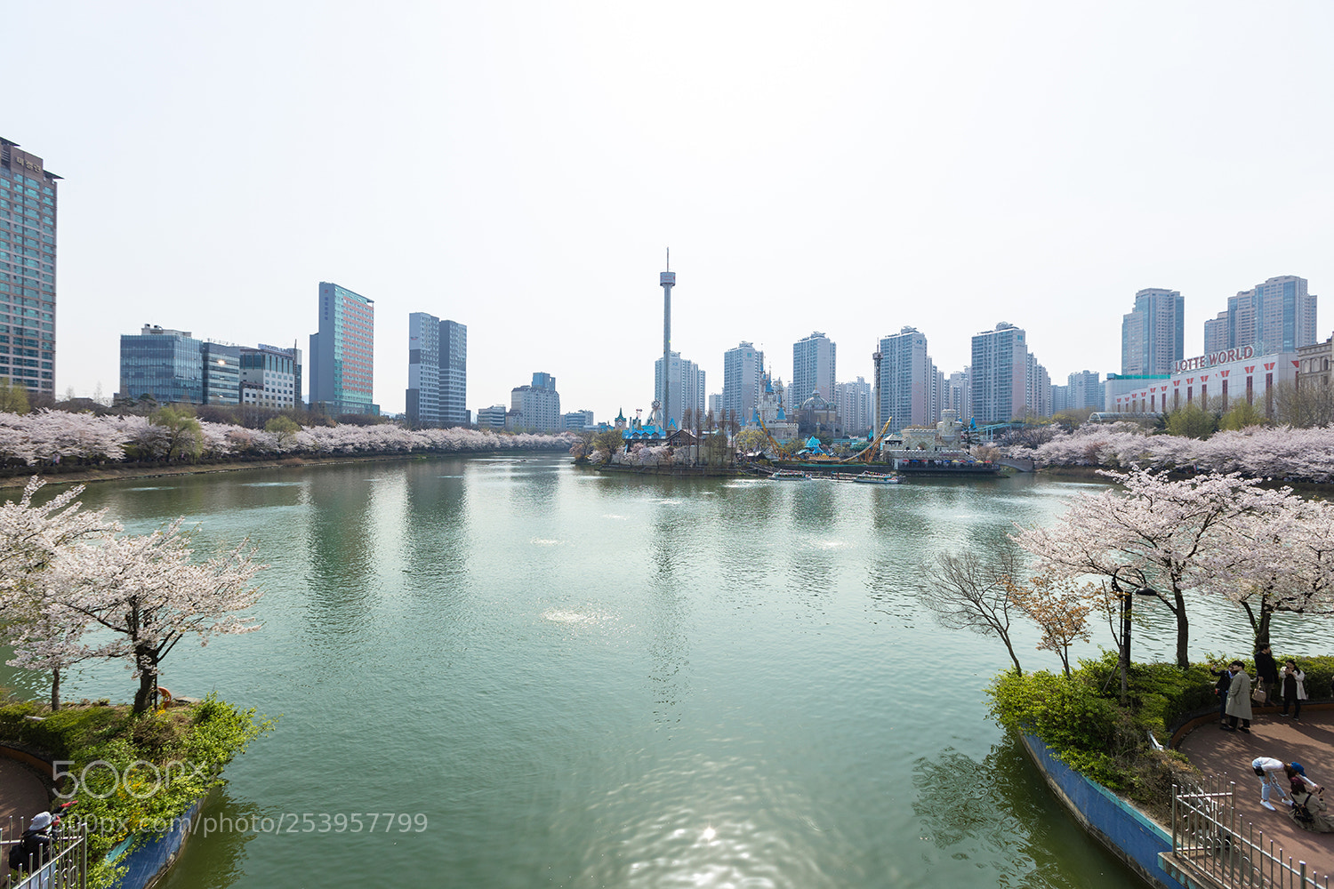 Canon EOS 5D Mark IV sample photo. Spring of the lake photography