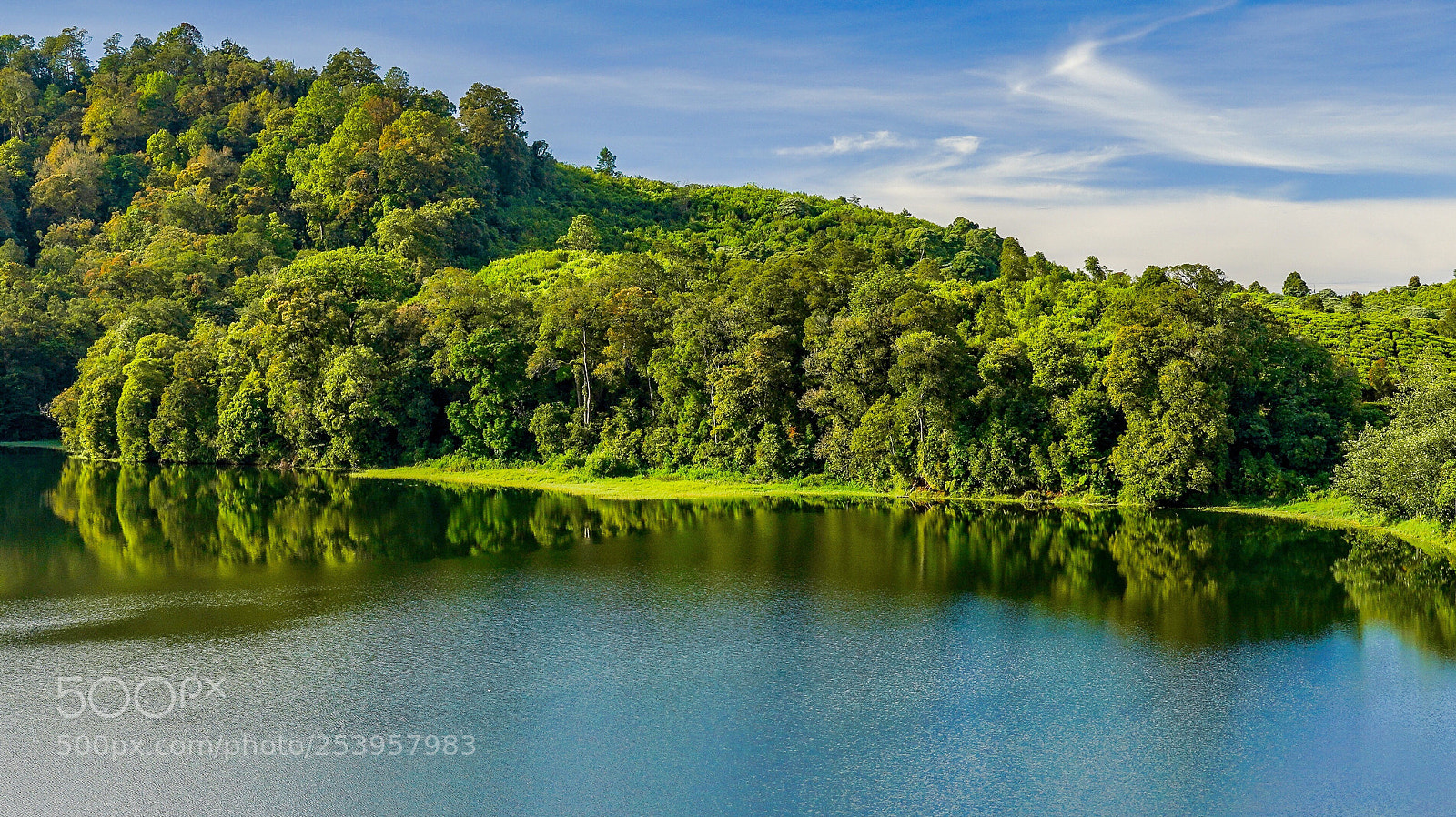 Sony a7R III sample photo. Hear the silence lakeside photography