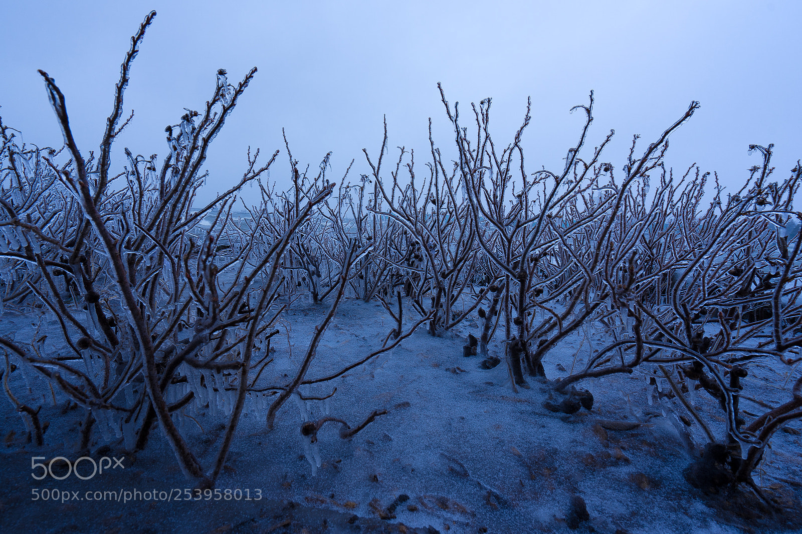 Sony a7 II sample photo. The last storm photography
