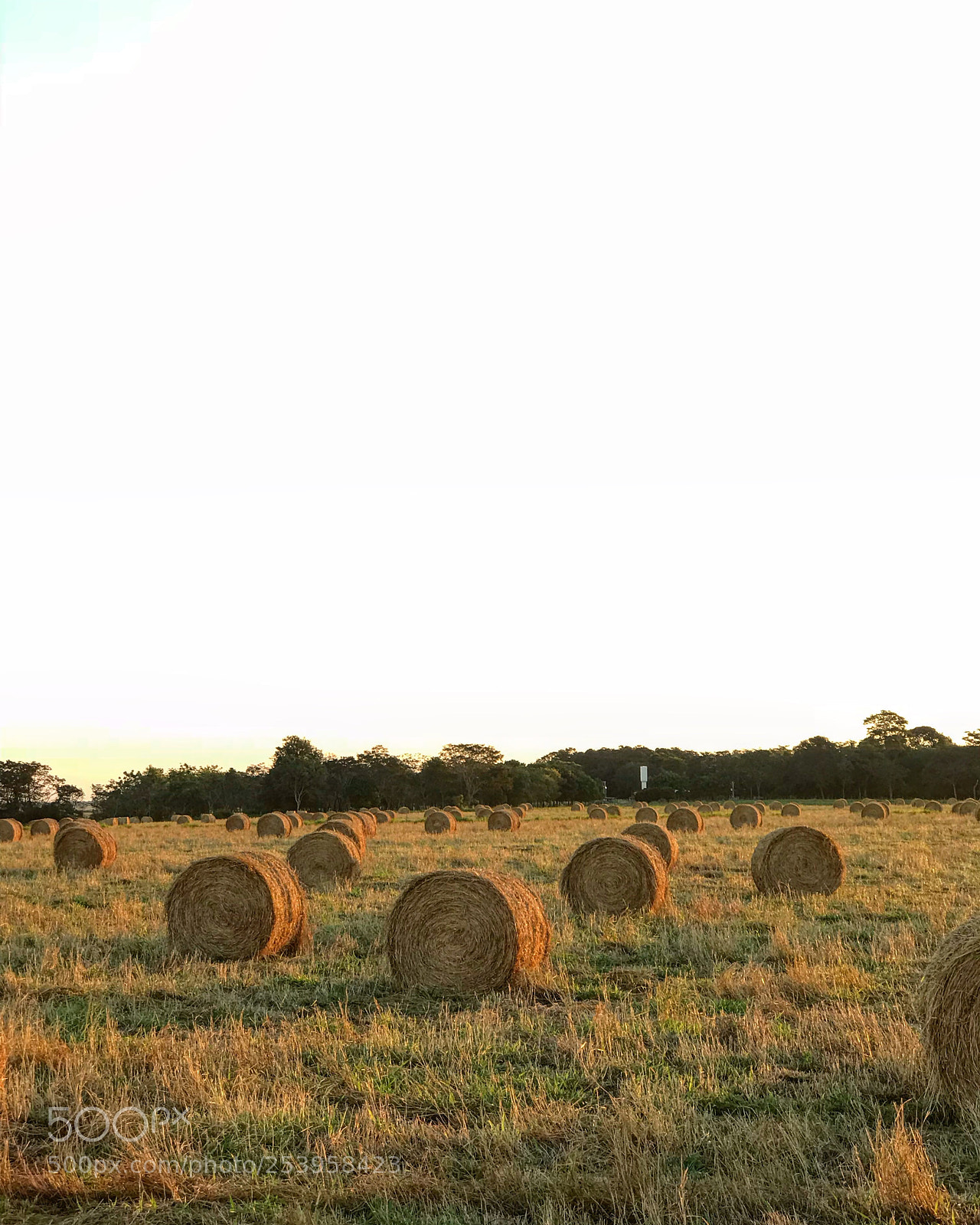 Apple iPhone 7 Plus sample photo. Ranch life. winter is photography