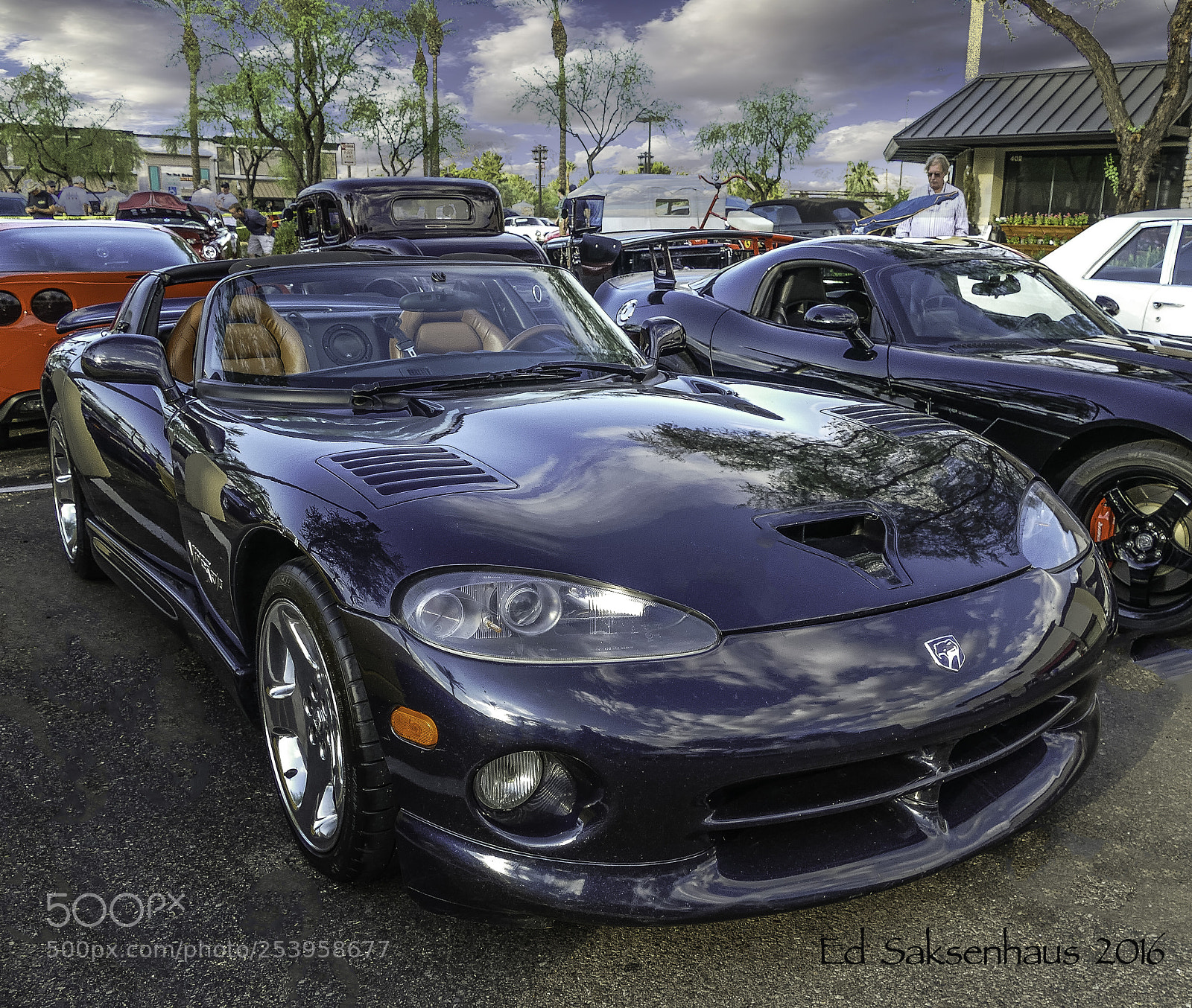 Panasonic Lumix DMC-FZ1000 sample photo. Black viper photography