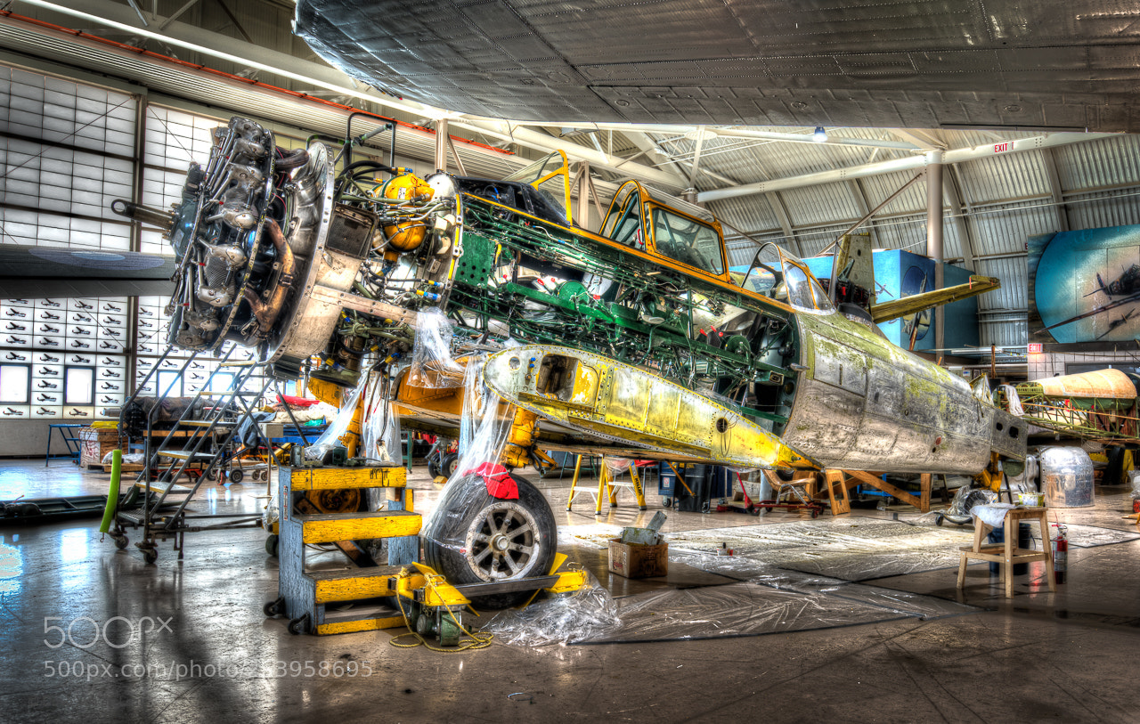 Nikon D810 sample photo. 1951 north american harvard photography