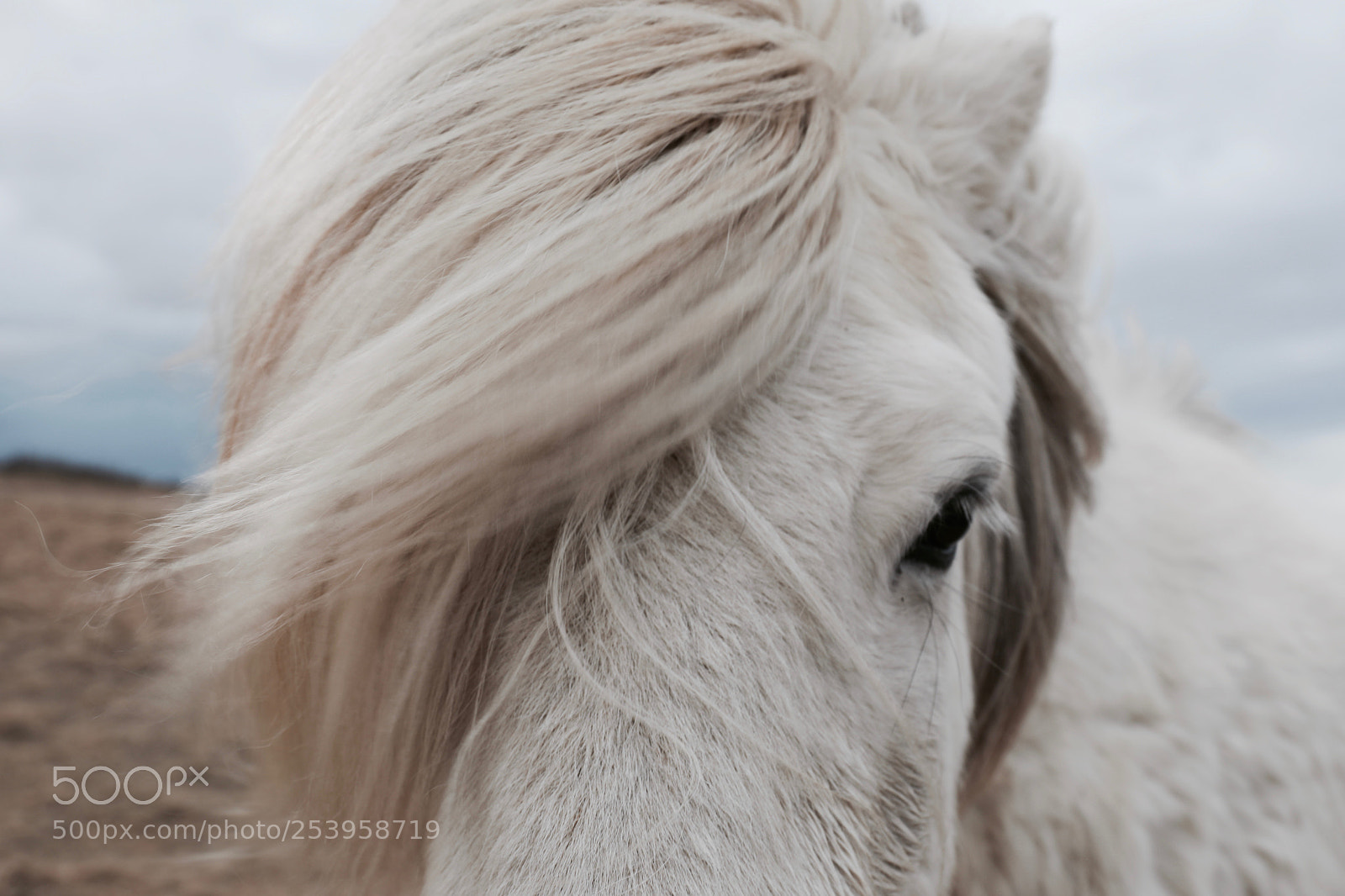 Canon EOS 5D Mark IV sample photo. Ia photography