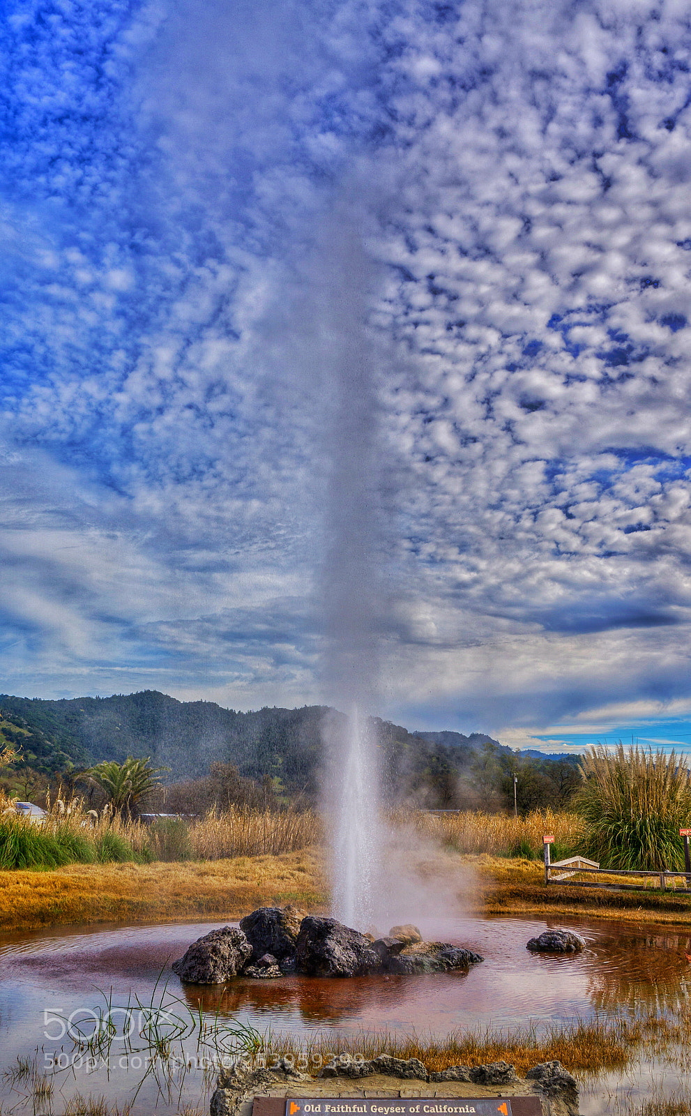 Sony a6000 sample photo. Old faithful of ca photography