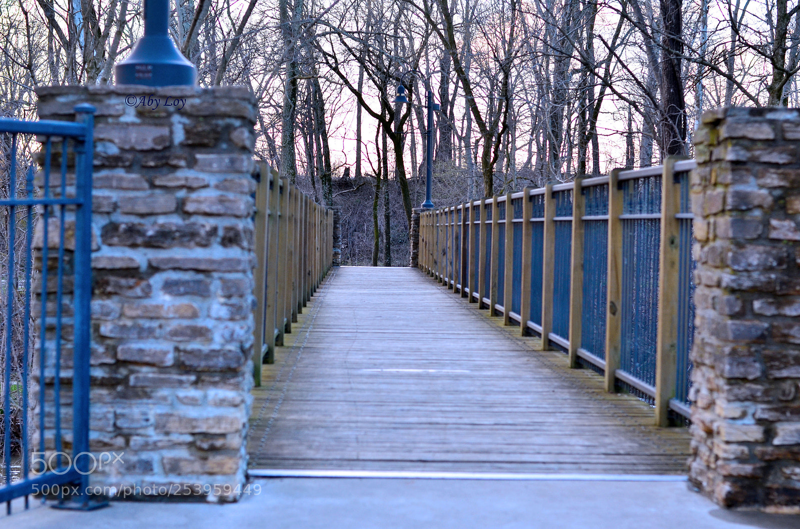 Nikon D5100 sample photo. Wooden bridge photography