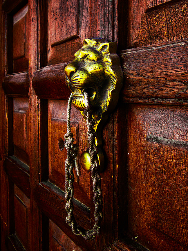 Canon PowerShot A3300 IS sample photo. Llamador de la puerta - león y cuerda (door knocker - lion and rope) photography