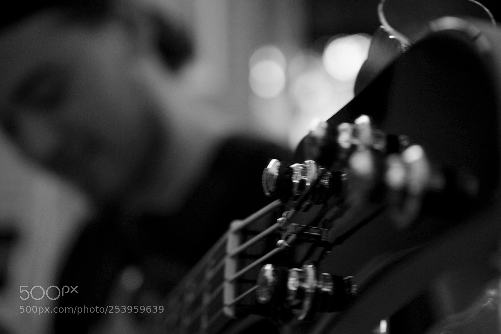 Nikon D5300 sample photo. Brobass photography
