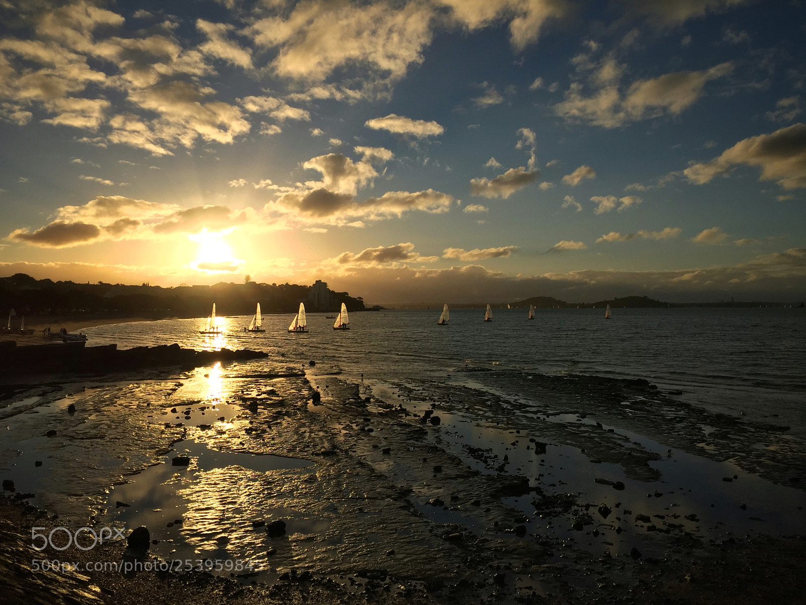 Apple iPhone 6 sample photo. Kohimarama yacht club photography