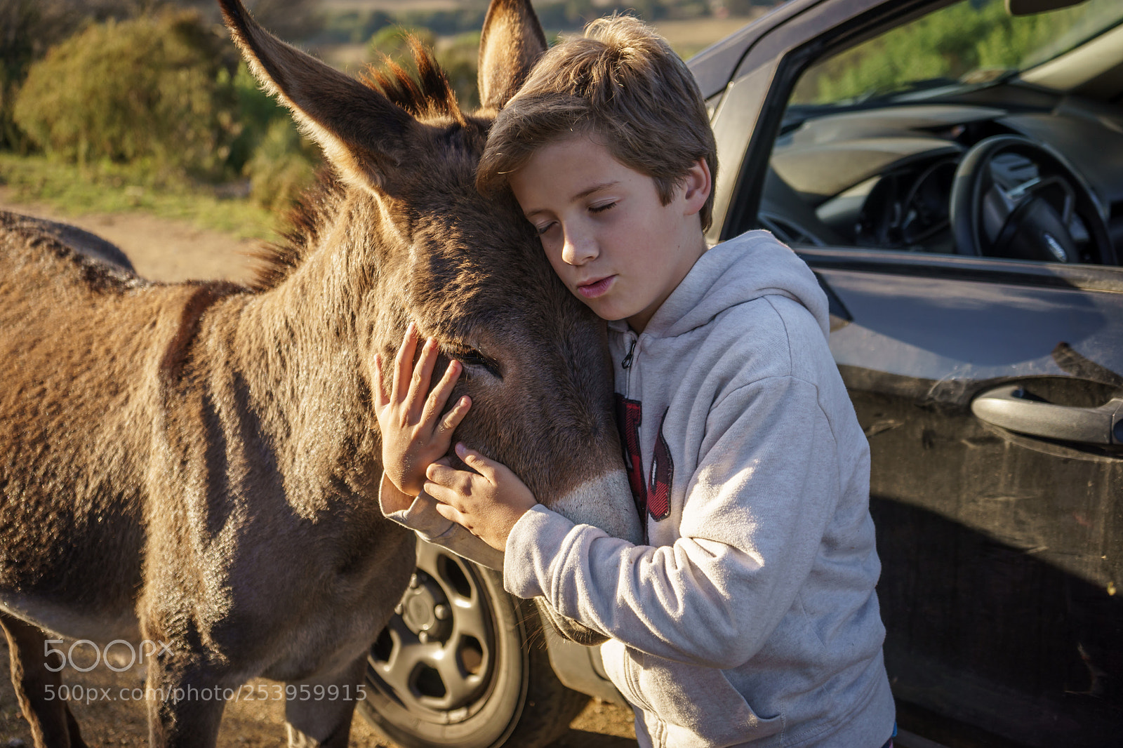 Sony a7 sample photo. The human hug photography