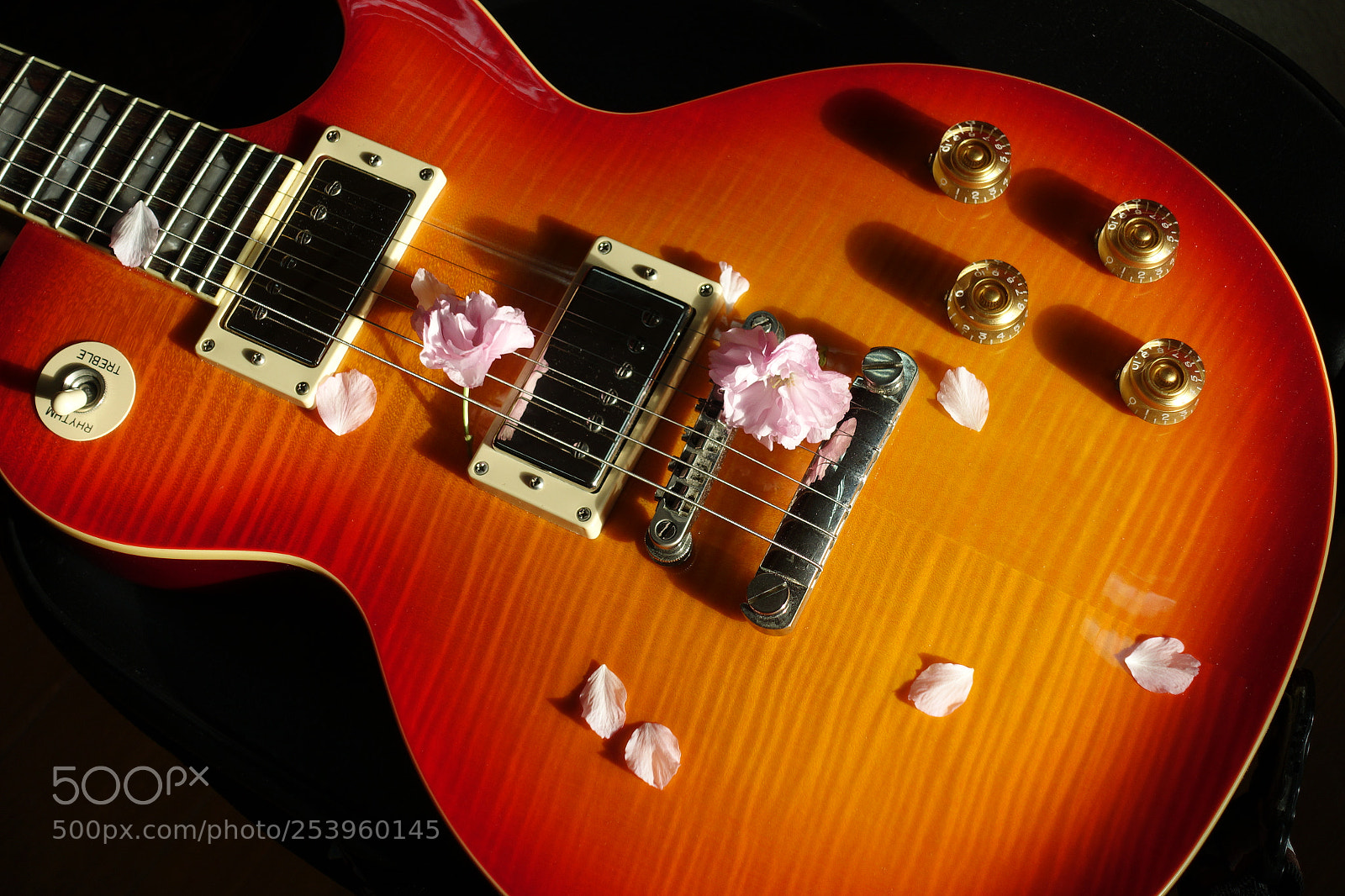 Sony Cyber-shot DSC-RX100 III sample photo. Les paul & cherry blossoms photography