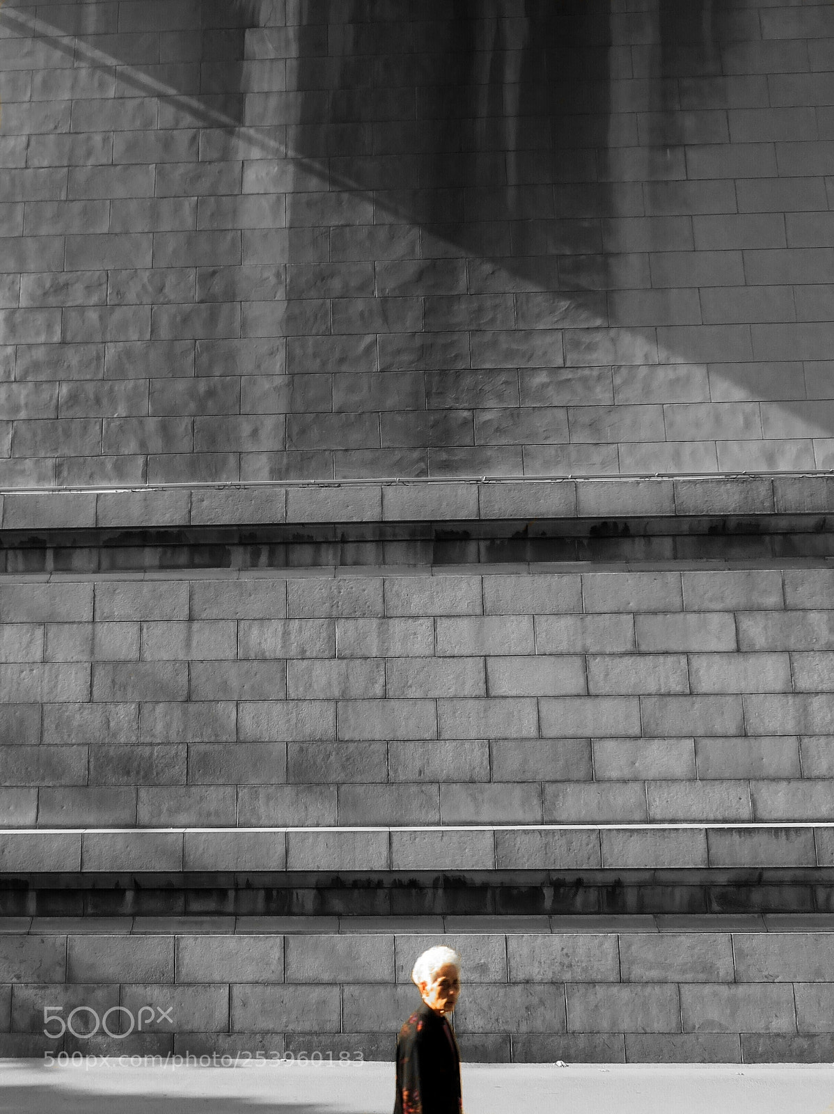 Canon PowerShot G3 X sample photo. The mystery and melancholy photography