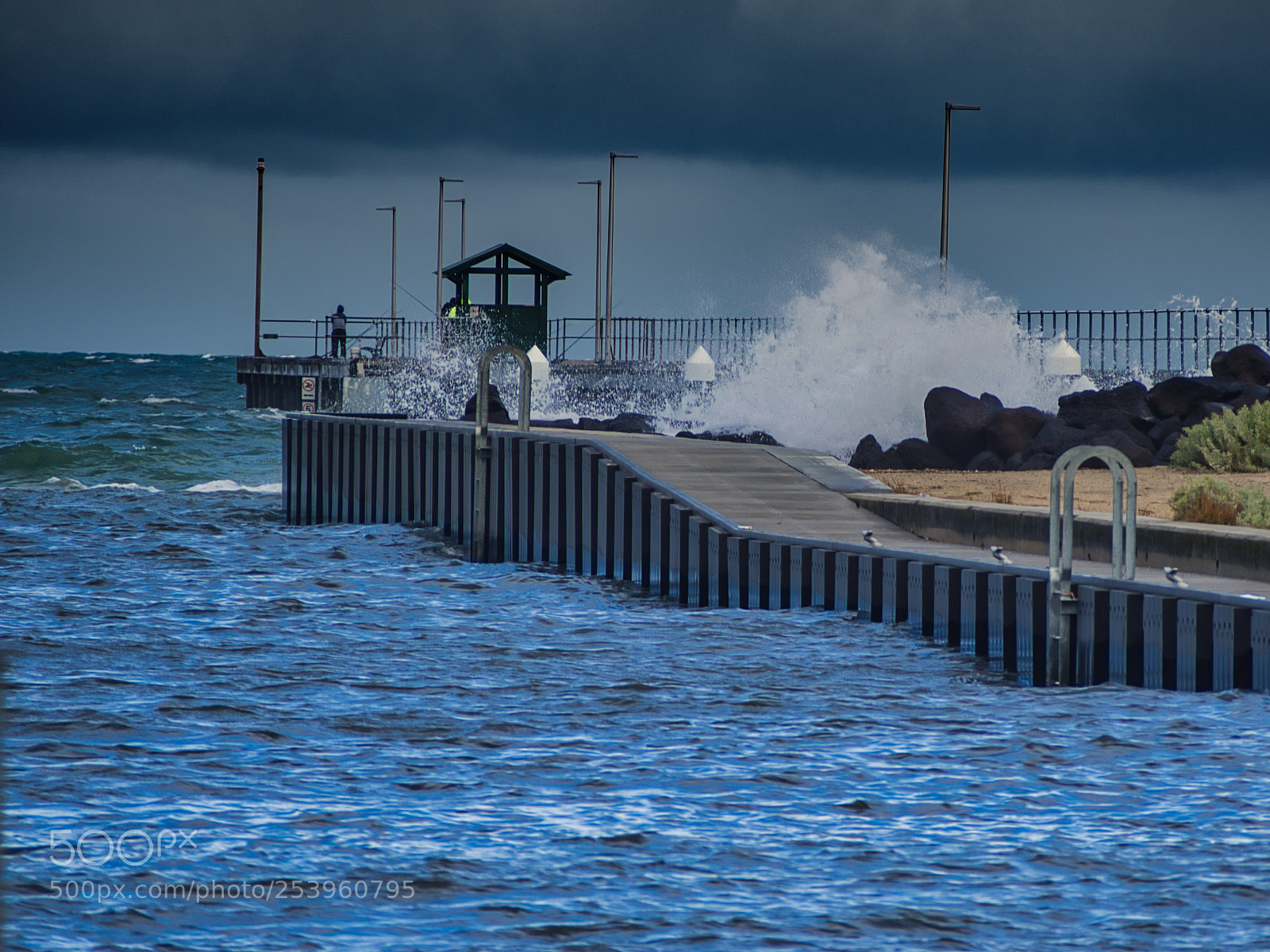 Olympus OM-D E-M10 sample photo. Mordialloc photography