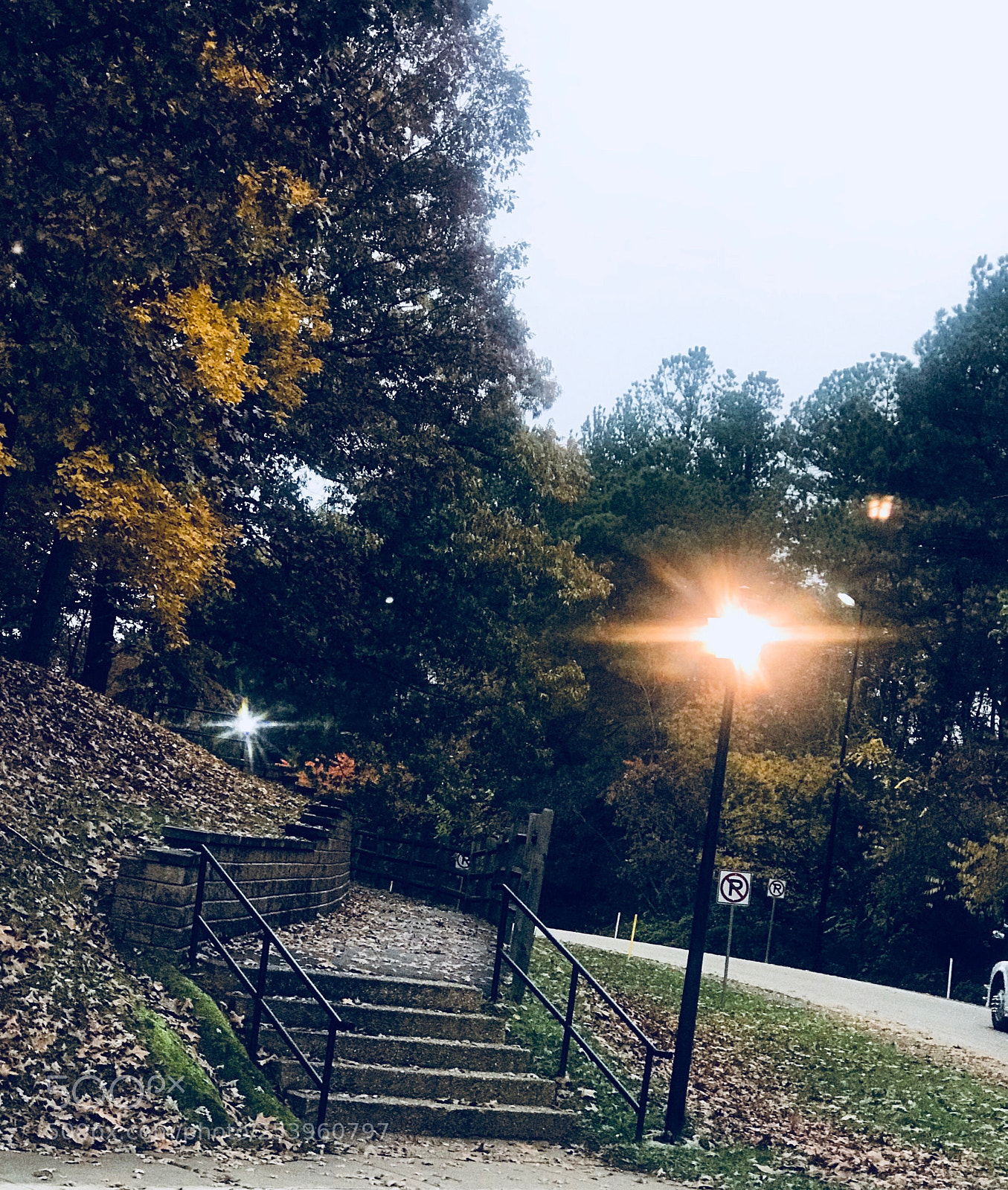 Apple iPhone 7 Plus sample photo. Follow the light up photography