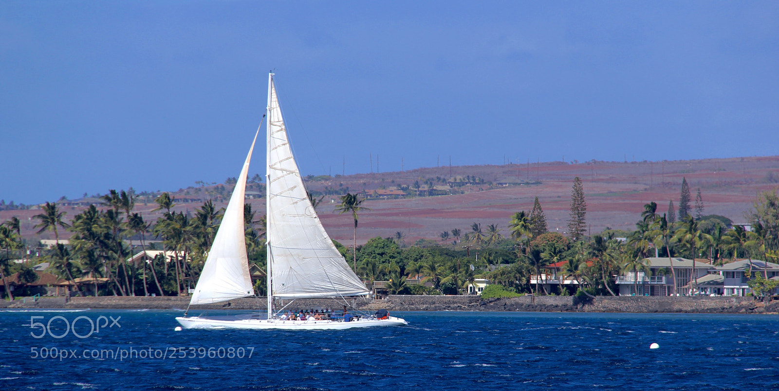 Canon EOS 60D sample photo. Sailing photography