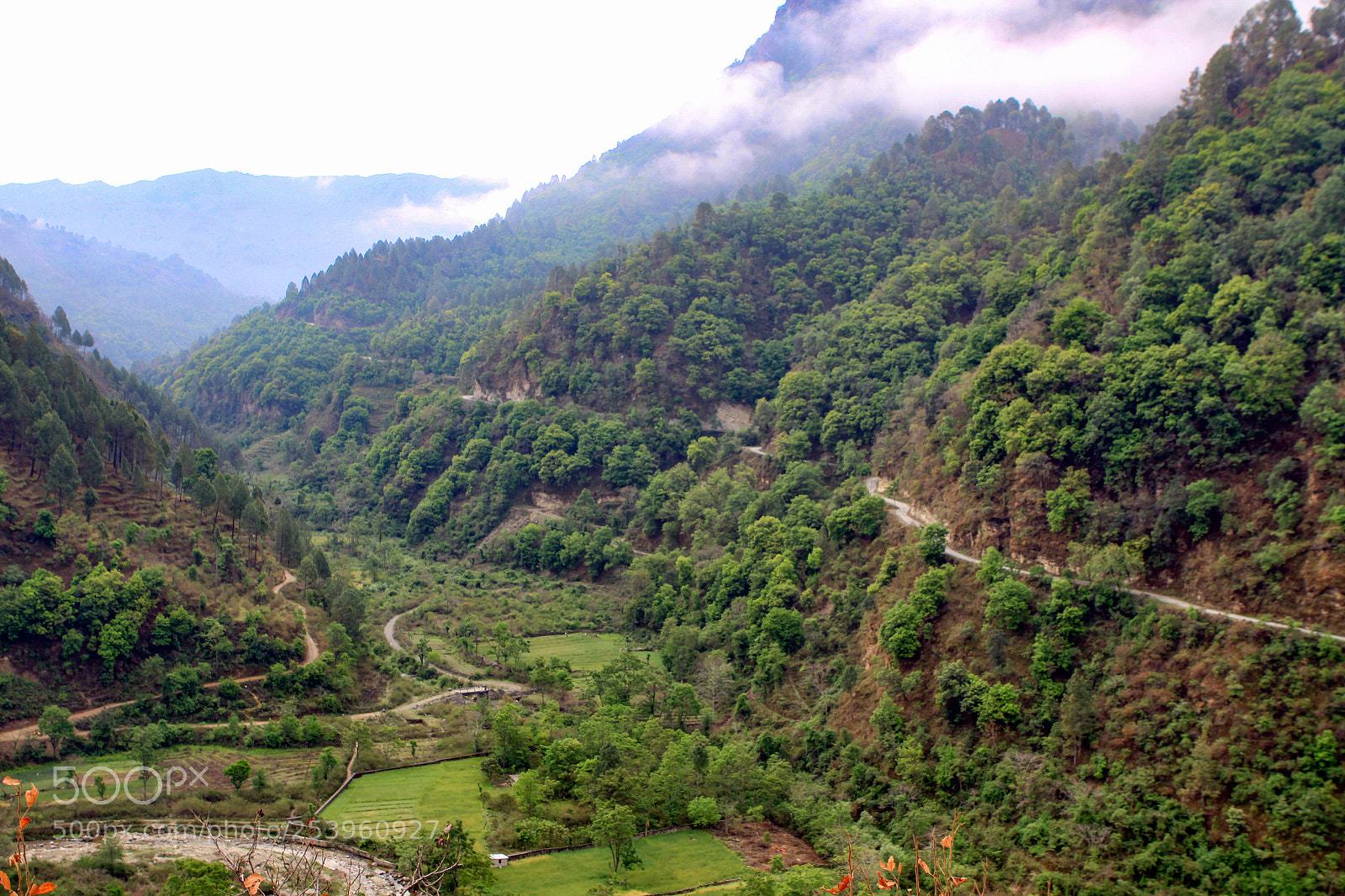 Canon EOS 50D sample photo. Views along pithoragarh-thal highway photography