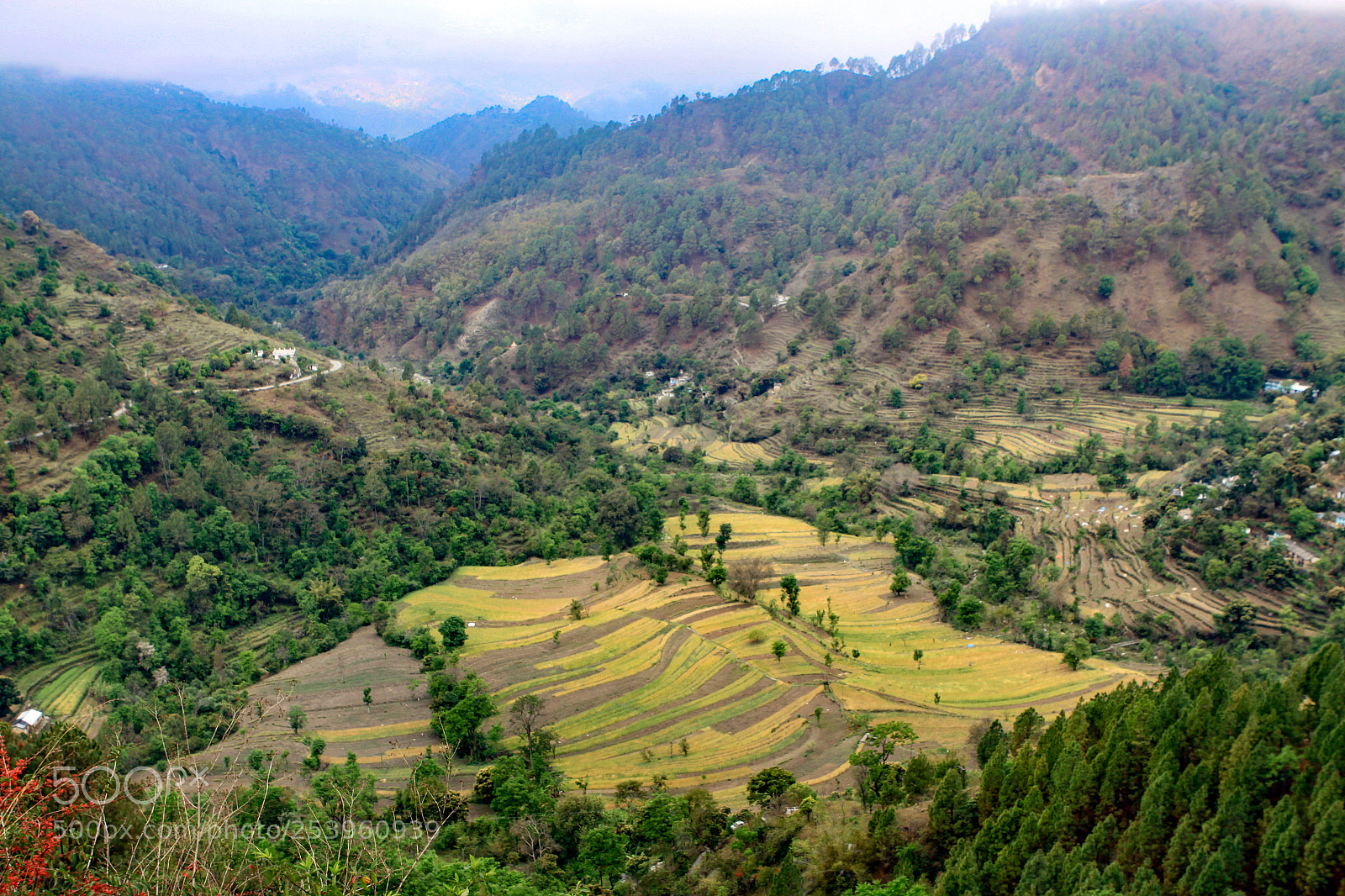 Canon EOS 50D sample photo. Views along pithoragarh-thal highway photography