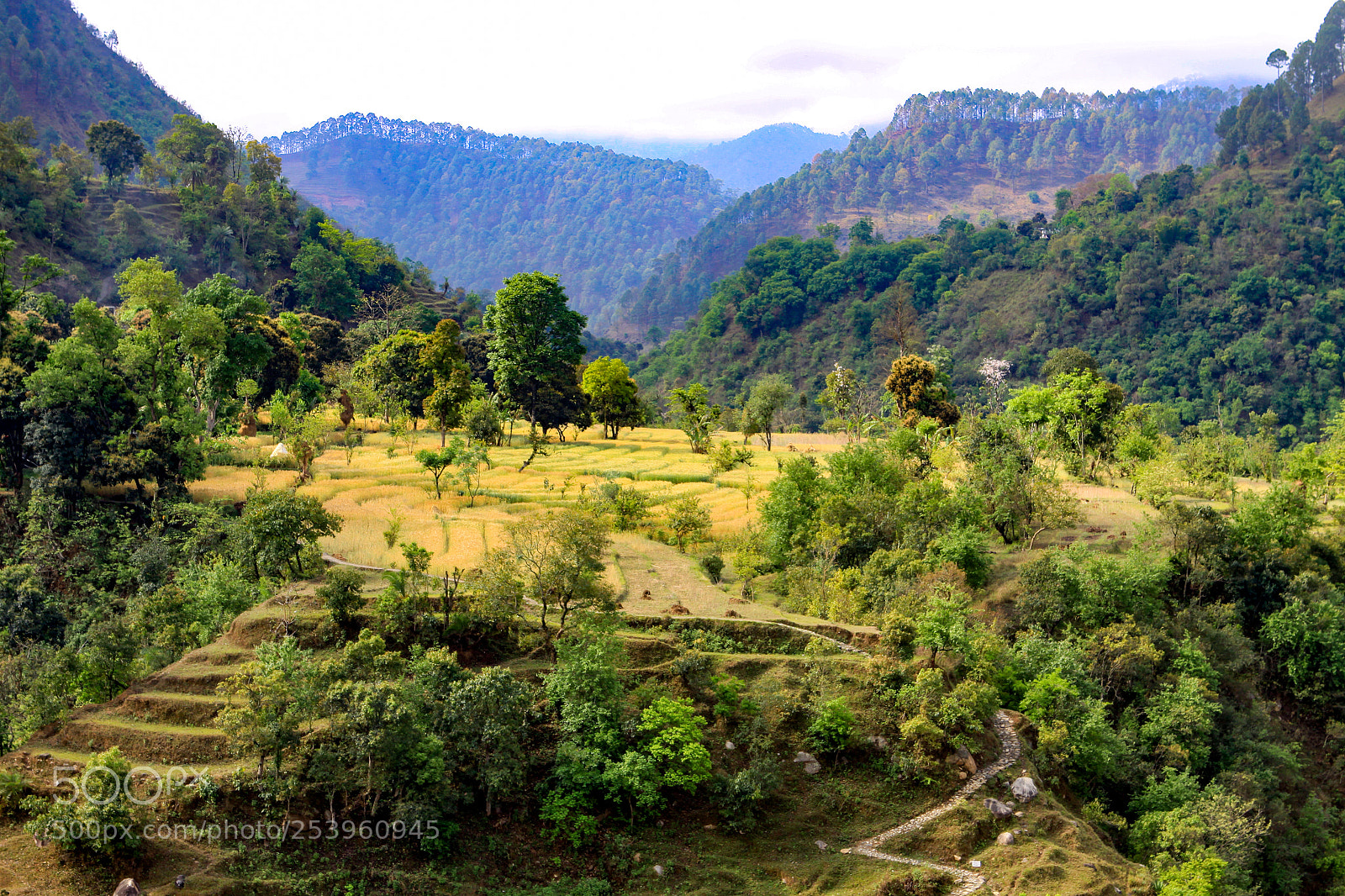 Canon EOS 50D sample photo. Views along pithoragarh-thal highway photography