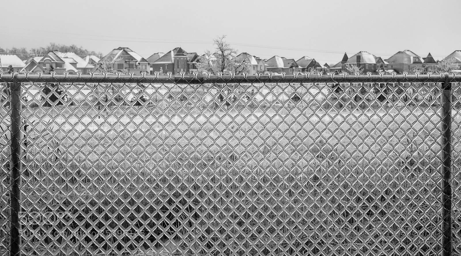 Fujifilm X-T1 sample photo. Ice fence photography