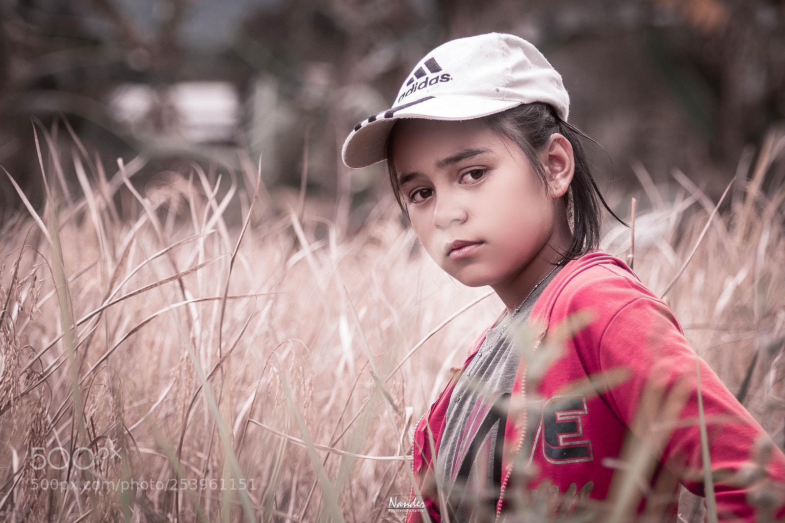 Nikon D5200 sample photo. Rice fields photography