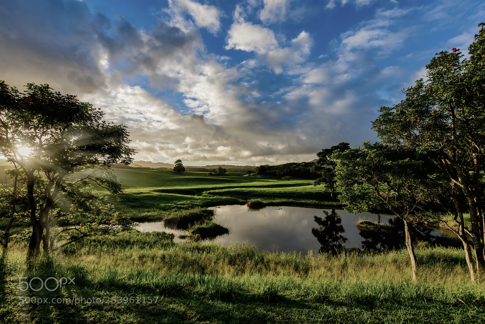 Nikon D810 sample photo. Hawaii dawn photography
