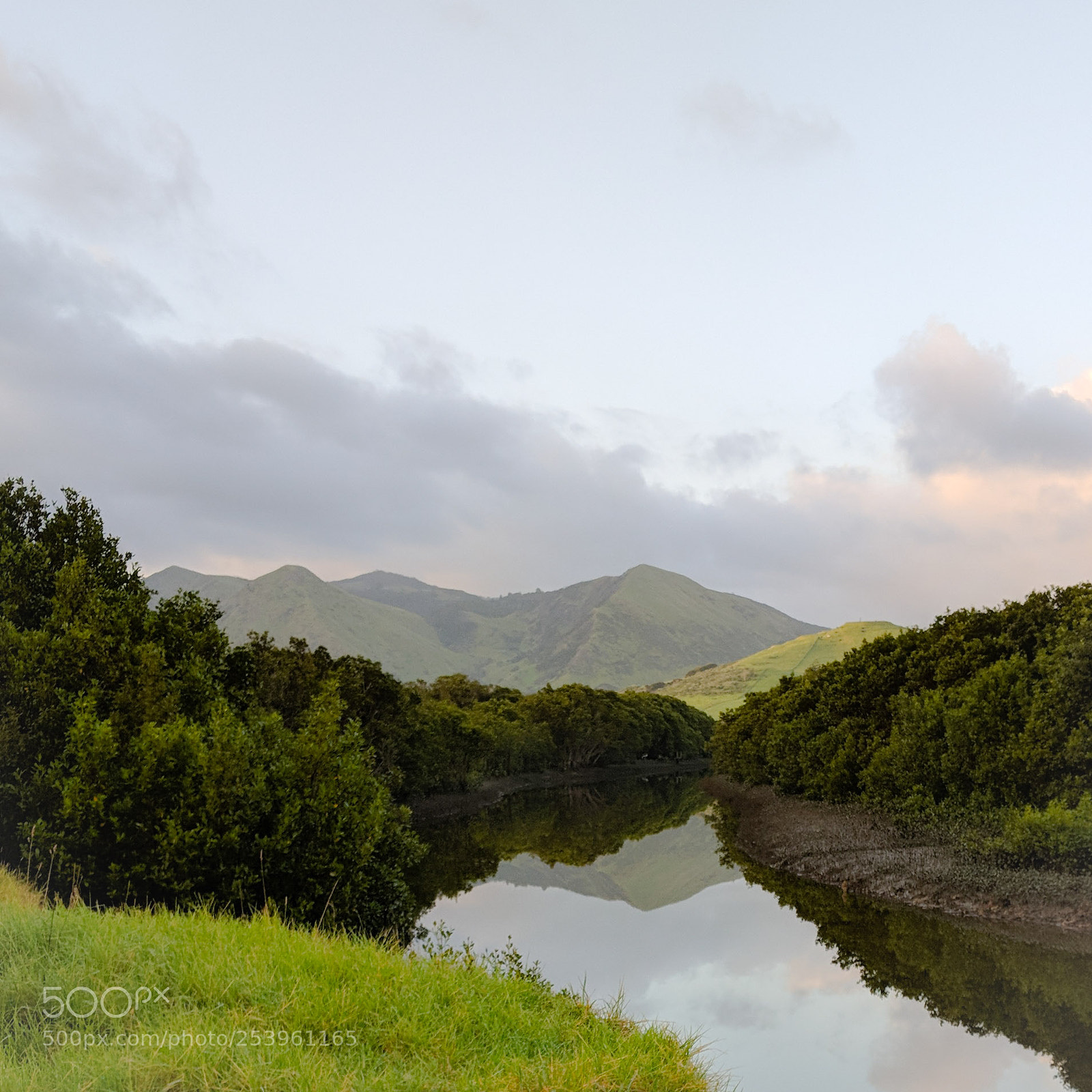 Google Pixel 2 XL sample photo. Koutu estuary photography