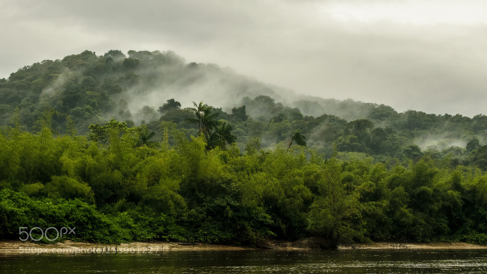 Nikon D3300 sample photo. Foggy morning on the photography