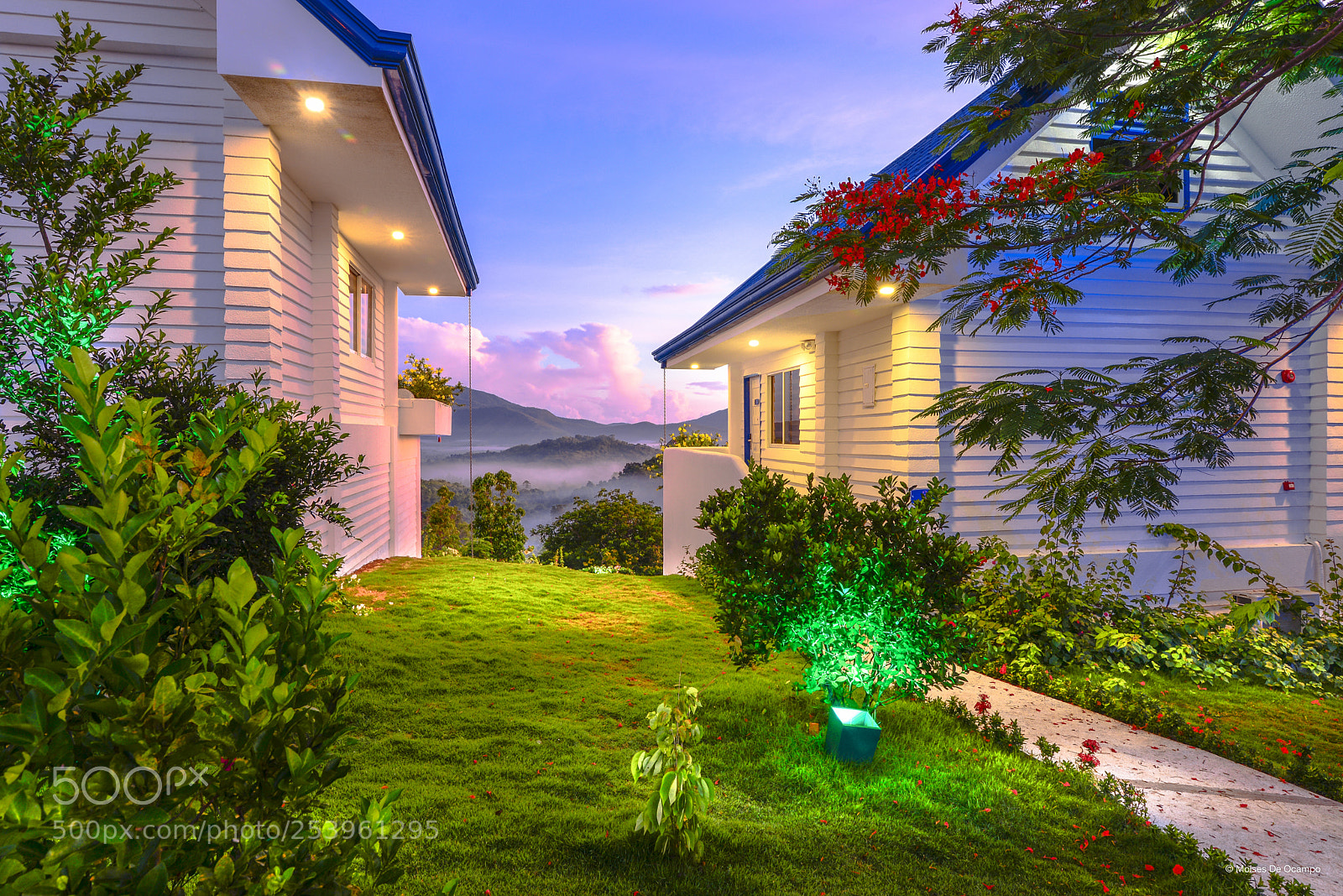 Nikon D610 sample photo. Misty morning photography