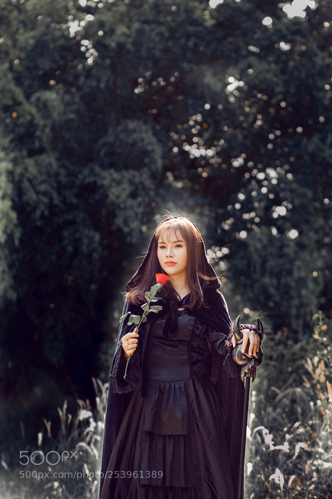 Canon EOS 60D sample photo. The witch photography