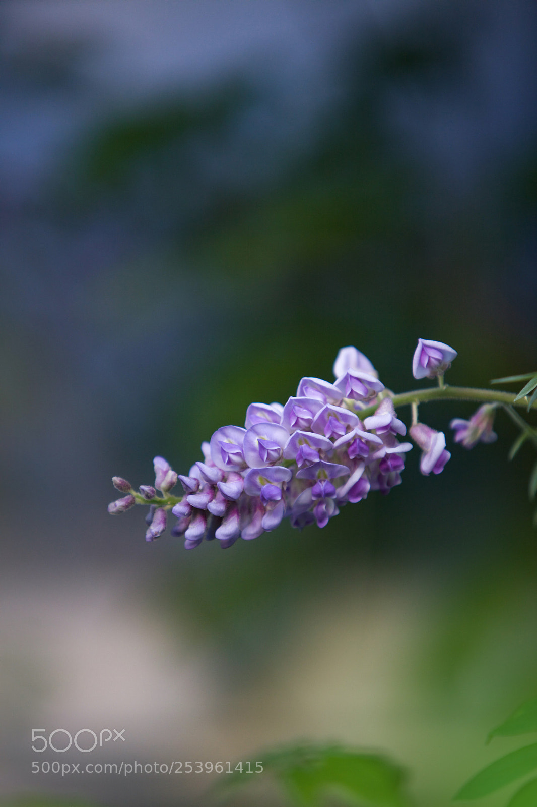 Canon EOS 5D Mark II sample photo. Southern comforts photography