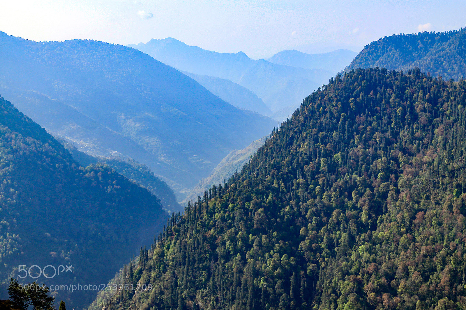 Canon EOS 50D sample photo. Views along the thal-munsiyari photography