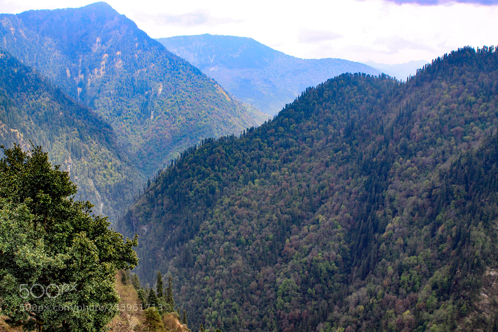 Canon EOS 50D sample photo. Views along the thal-munsiyari photography