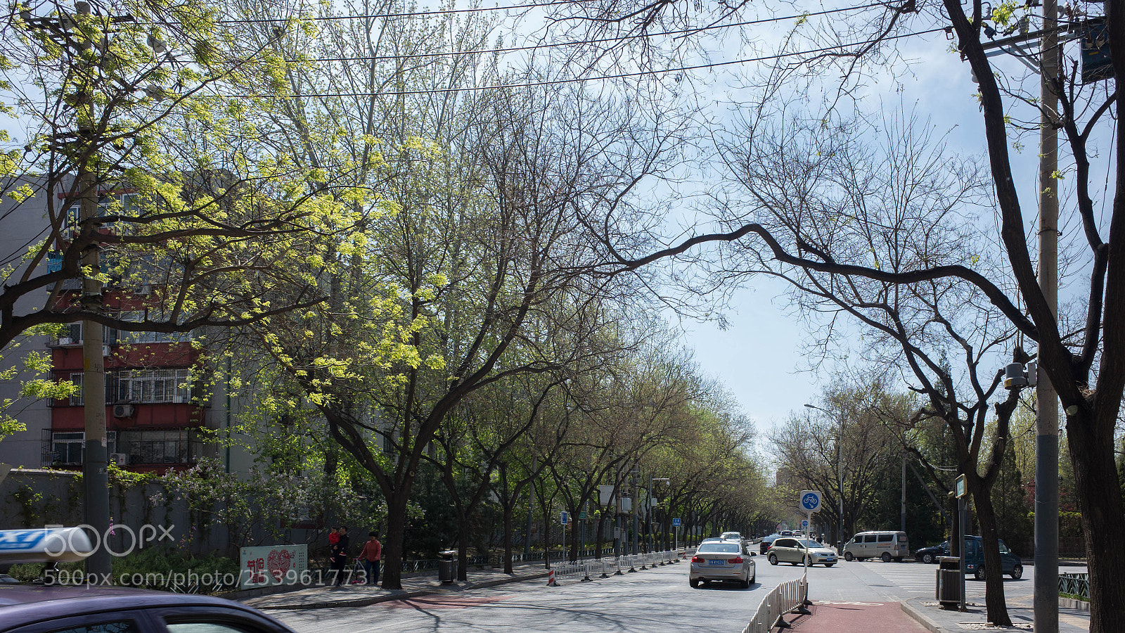 Ricoh GR sample photo. R photography