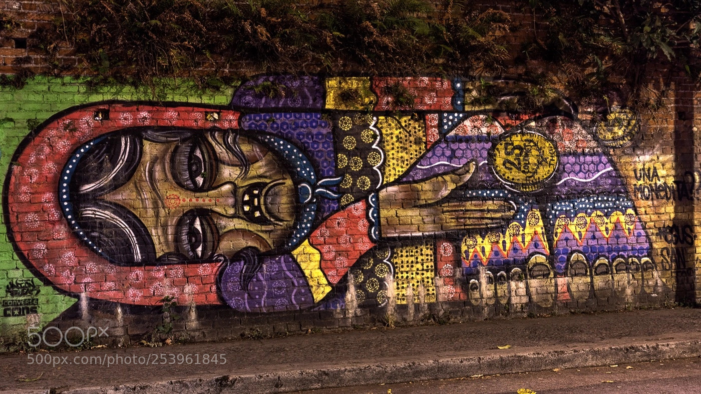 Canon EOS 5D Mark IV sample photo. Una monedita ?? photography