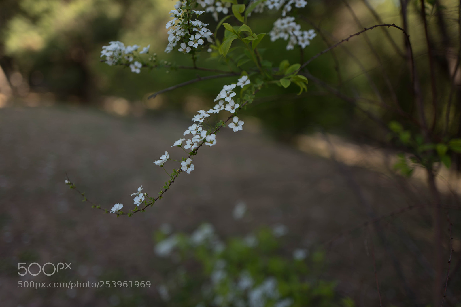 Leica Q (Typ 116) sample photo. L photography