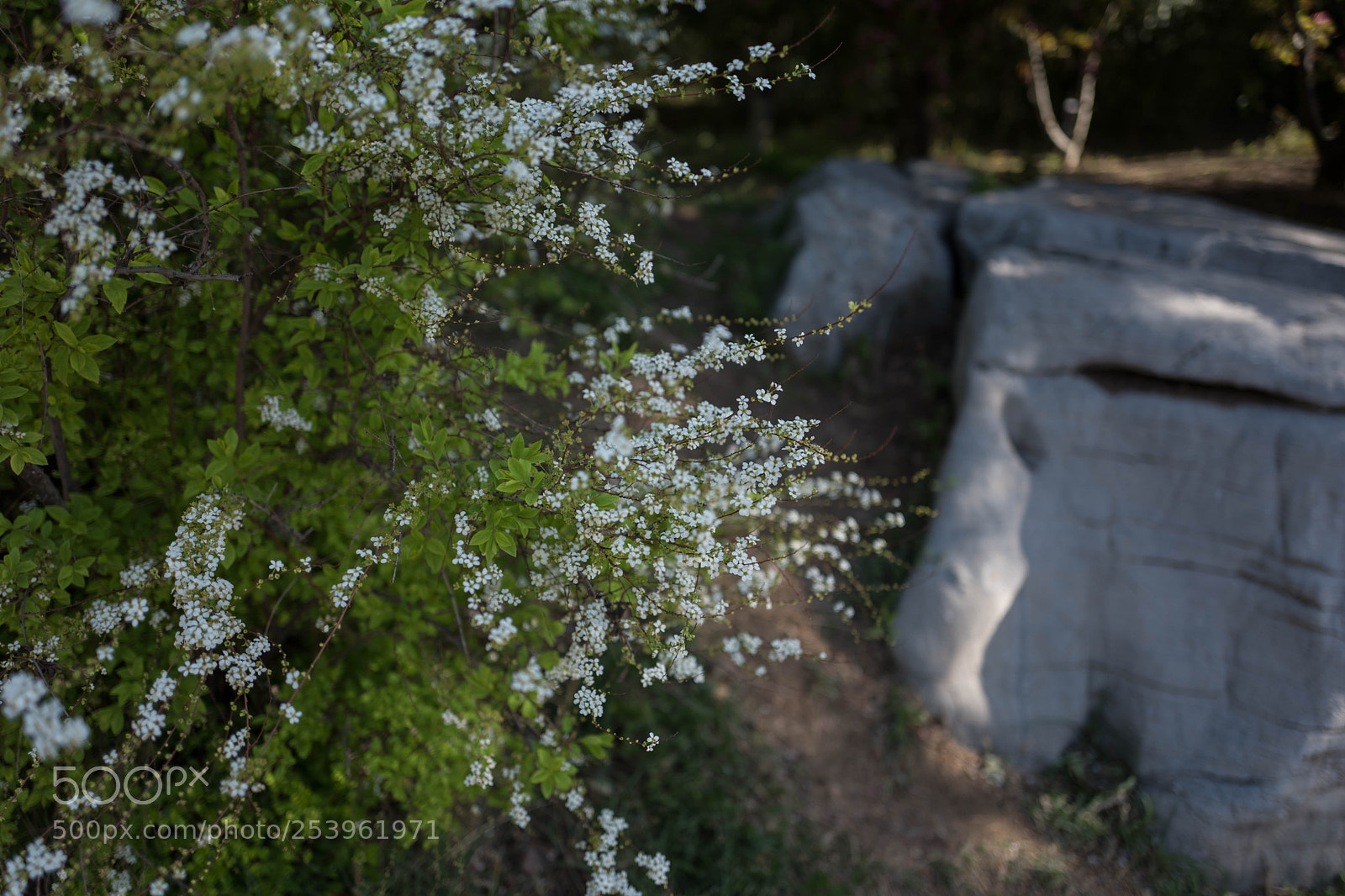Leica Q (Typ 116) sample photo. L photography