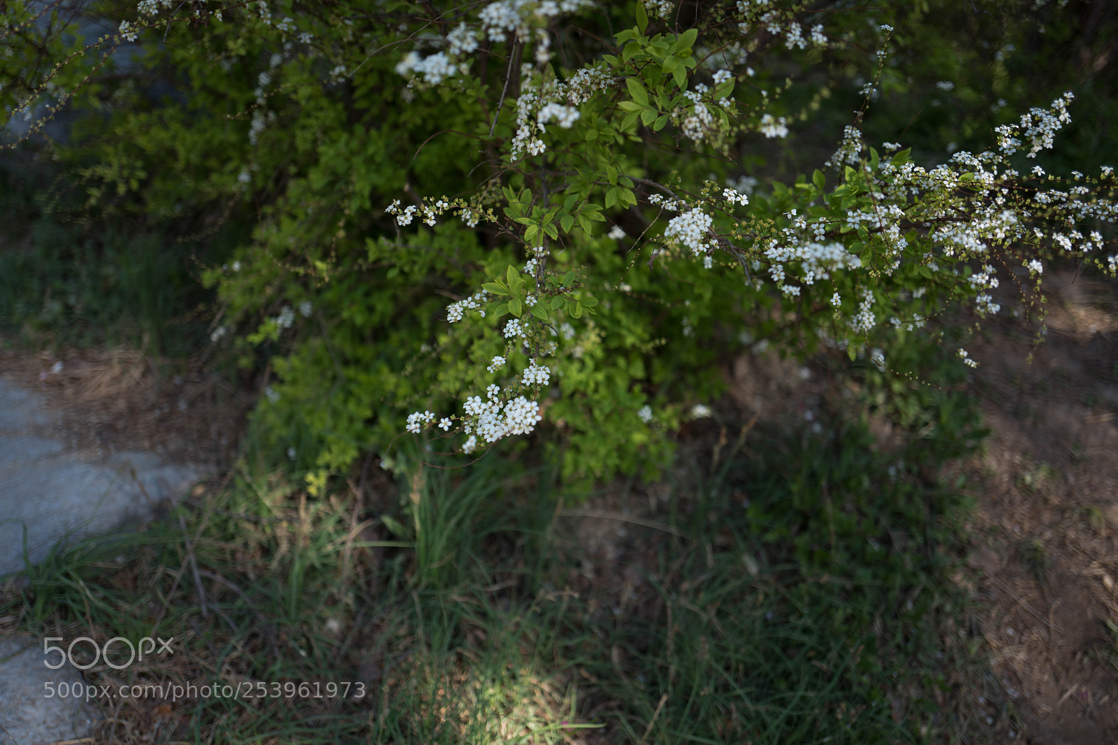 Leica Q (Typ 116) sample photo. L photography