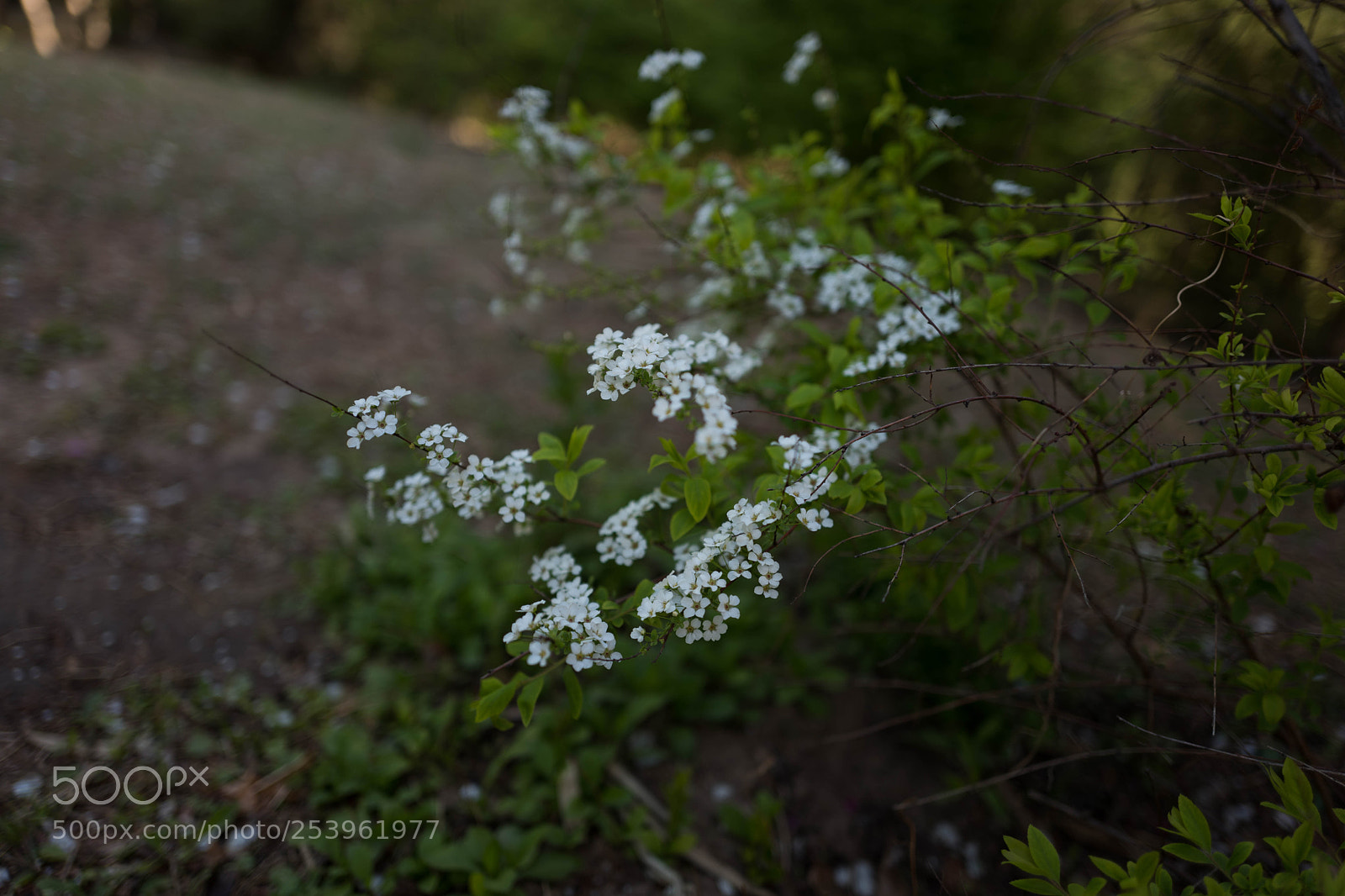 Leica Q (Typ 116) sample photo. L photography