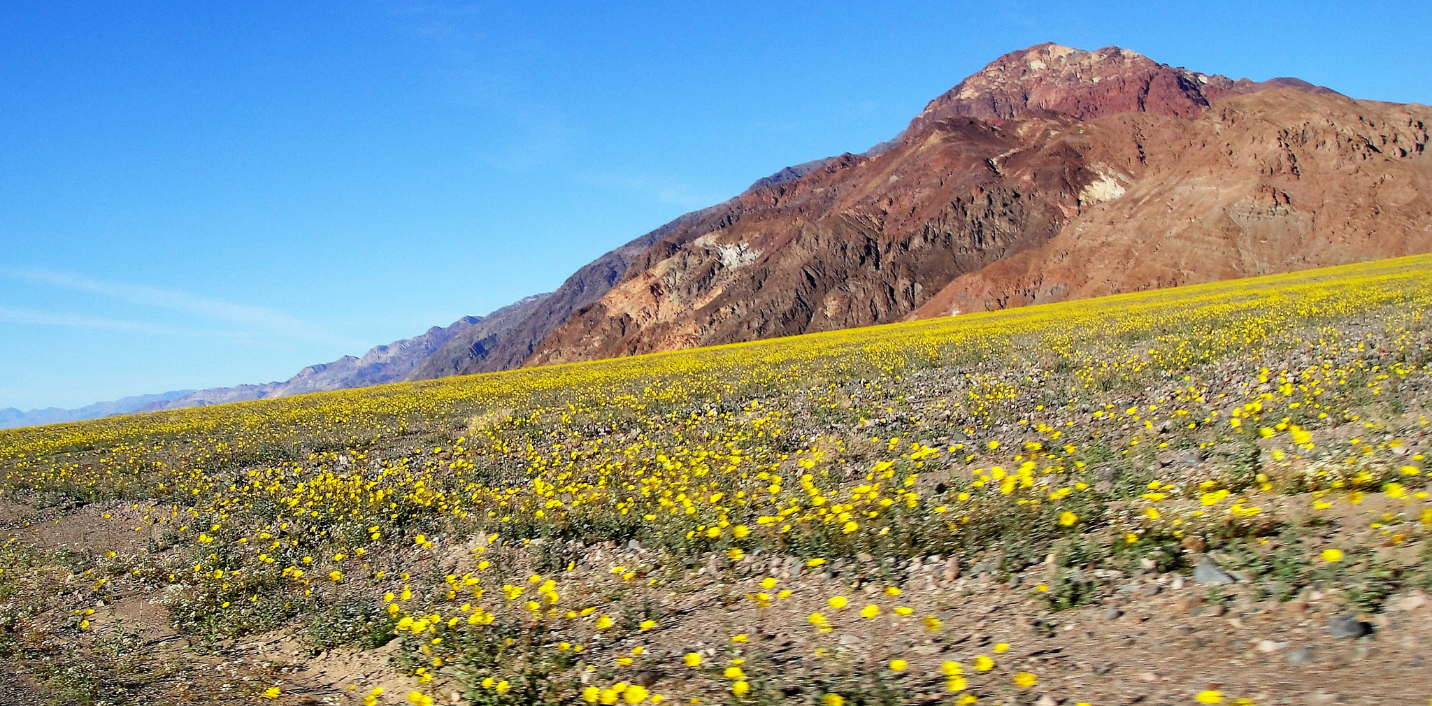 Sony DSC-T90 sample photo. Death valley in febuary photography