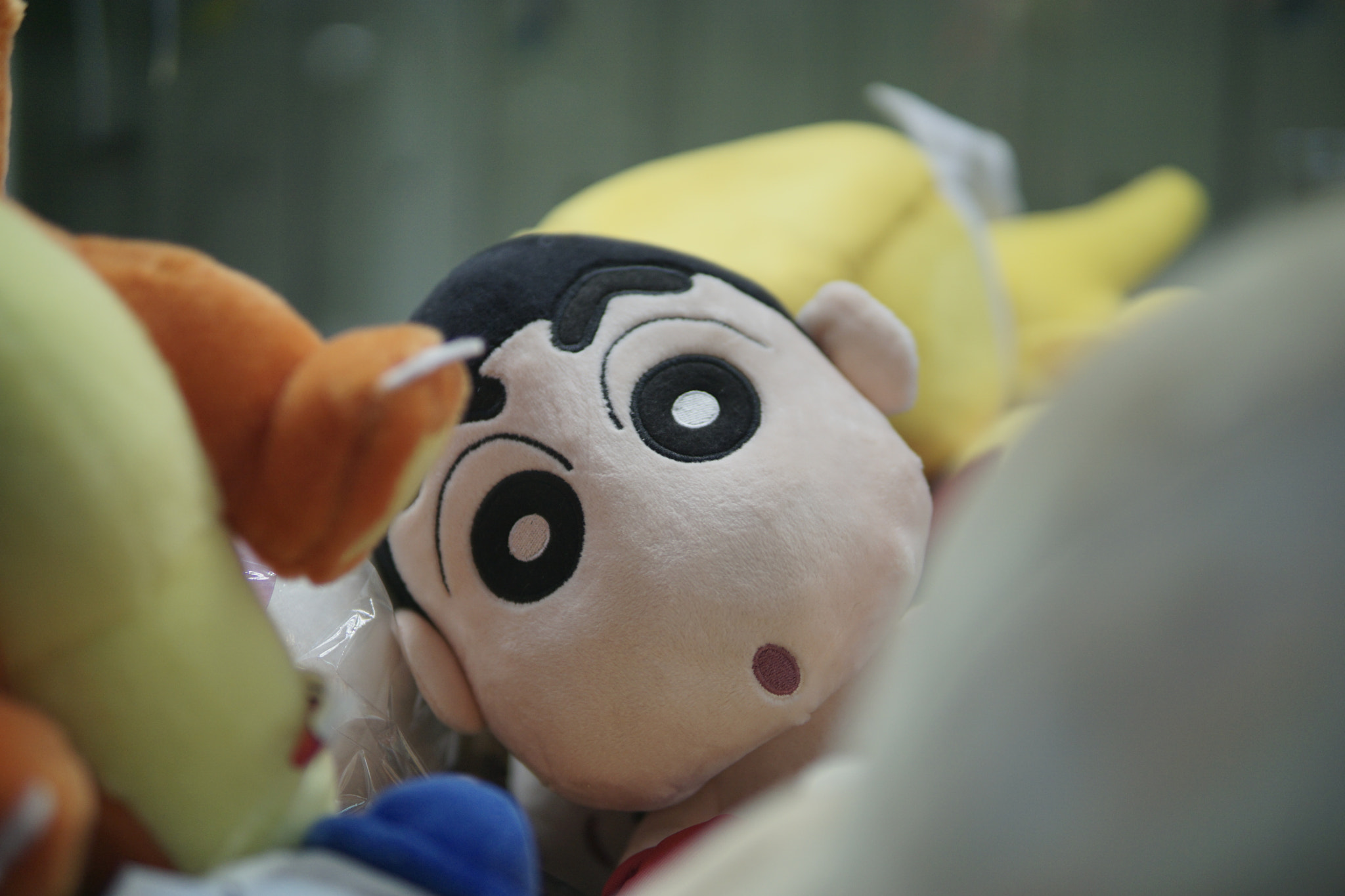 Sigma 30mm F1.4 DC DN | C sample photo. Dsc photography