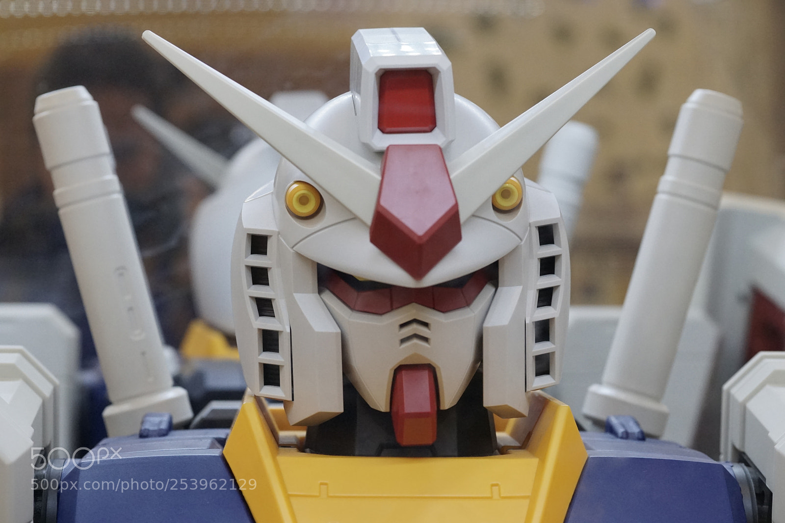 Sony a6000 sample photo. Dsc photography