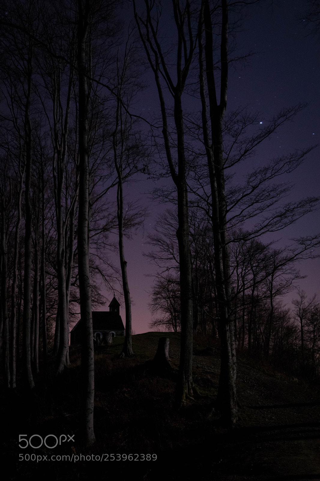 Nikon D3300 sample photo. Night in forest photography