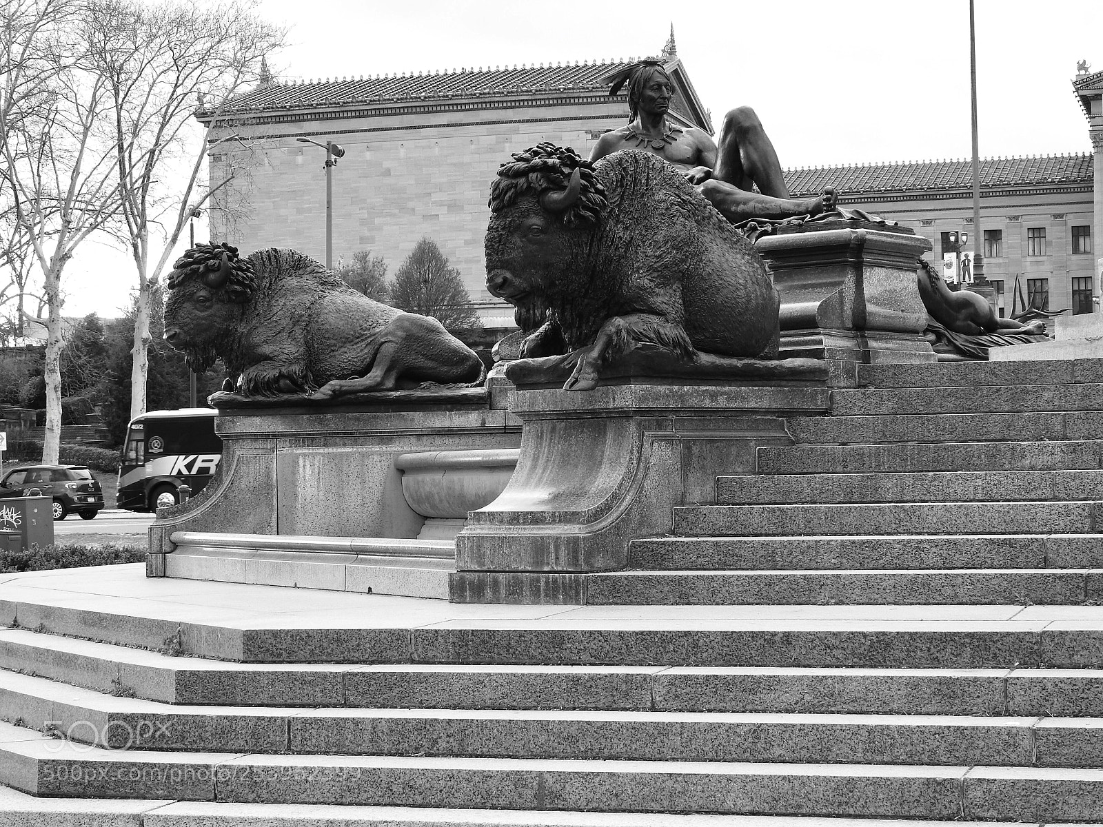Nikon Coolpix P900 sample photo. Let s hang here photography