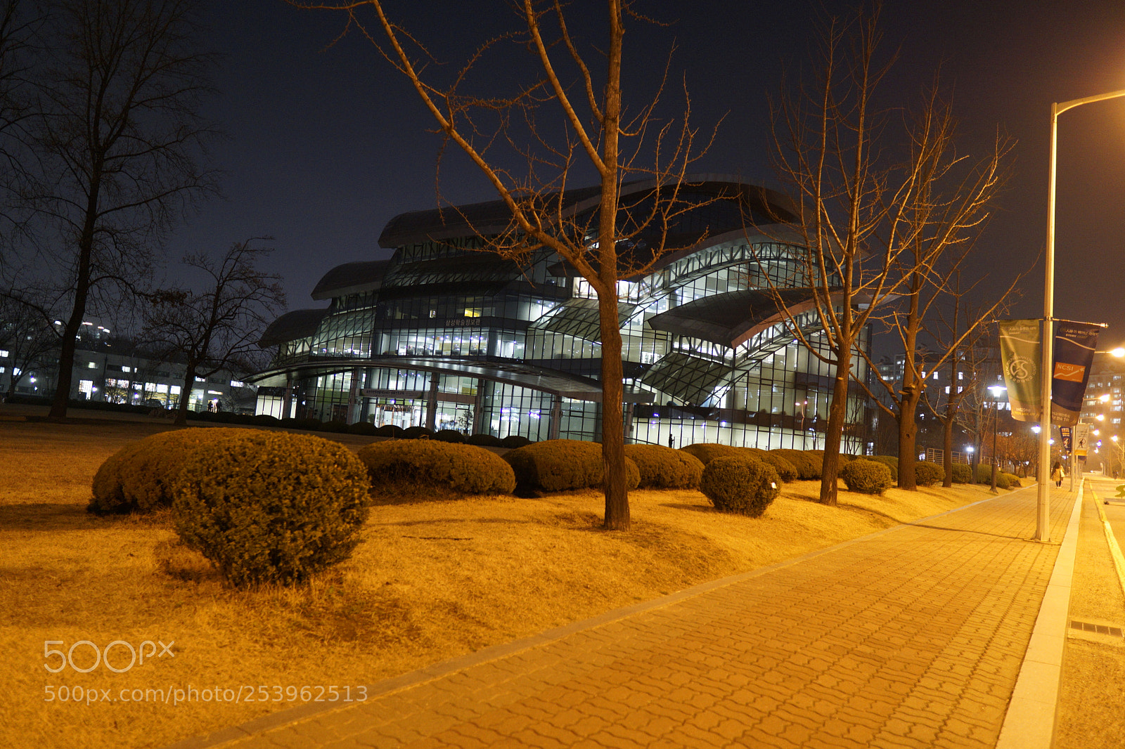 Sony a6000 sample photo. Dsc photography