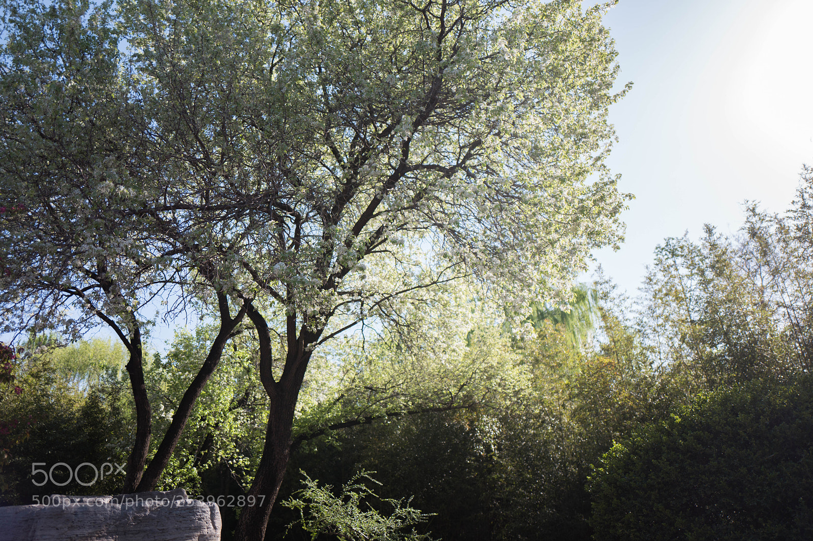 Leica Q (Typ 116) sample photo. L photography