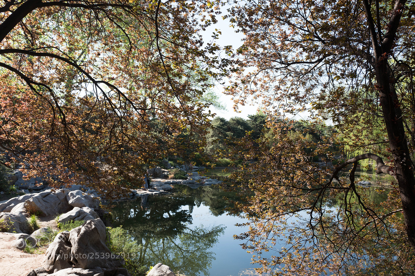 Leica Q (Typ 116) sample photo. L photography